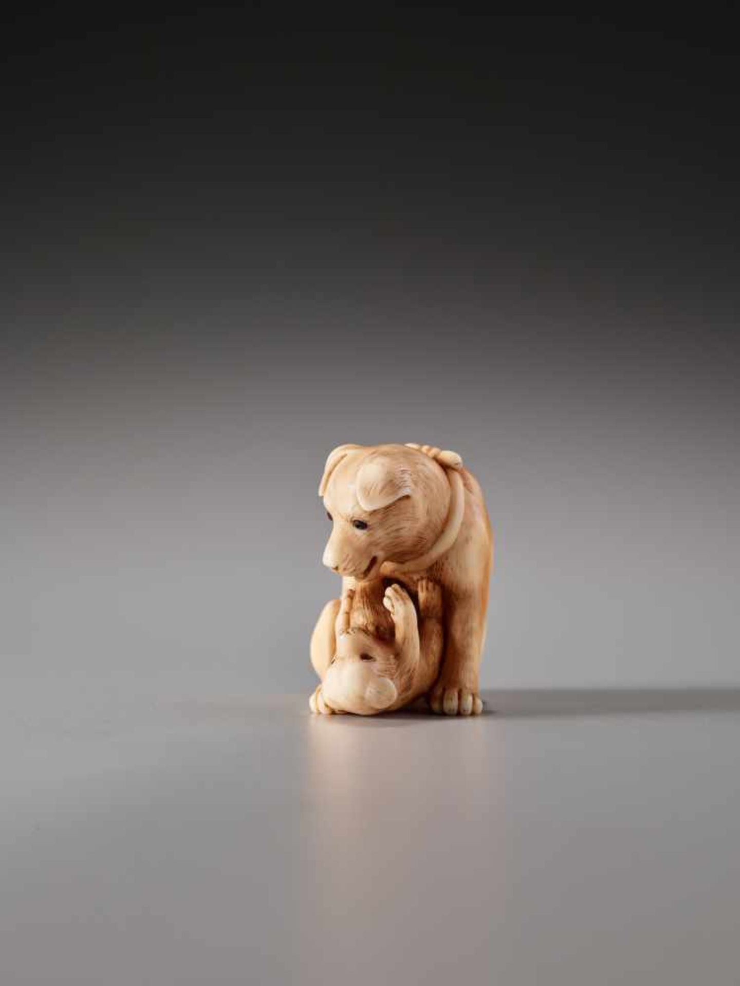 A CHARMING AND FINE NETSUKE OF A DOG WITH PUP BY TANETOSHIBy Tanetoshi, ivory netsukeJapan, 20th - Image 2 of 9