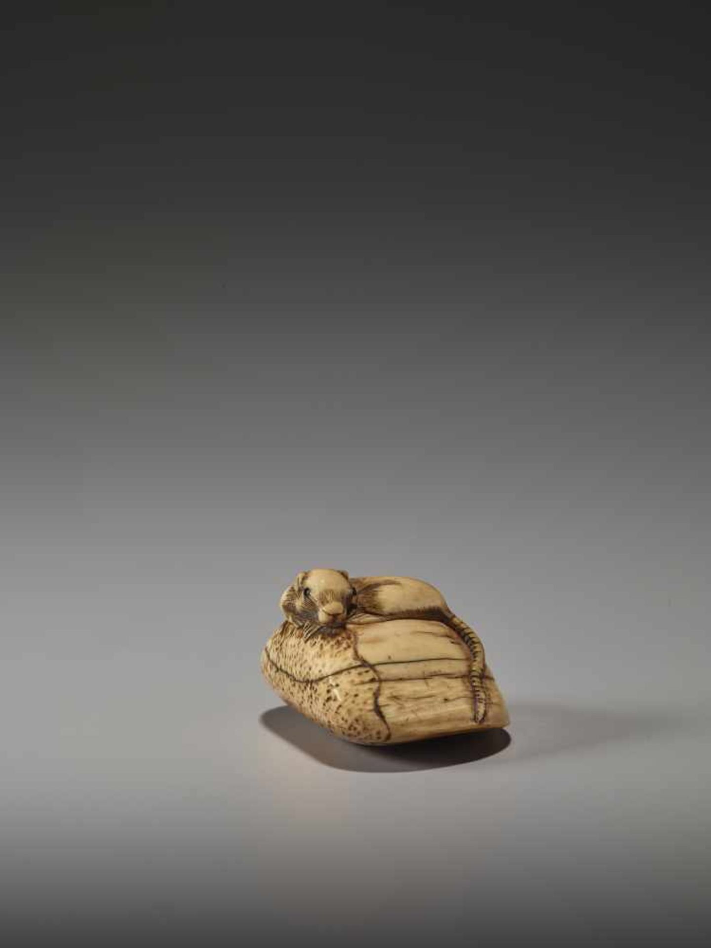 AN IVORY NETSUKE OF A RAT ON A LARGE CHESTNUTUnsigned, ivory netsukeJapan, probably Kyoto, early - Bild 2 aus 6