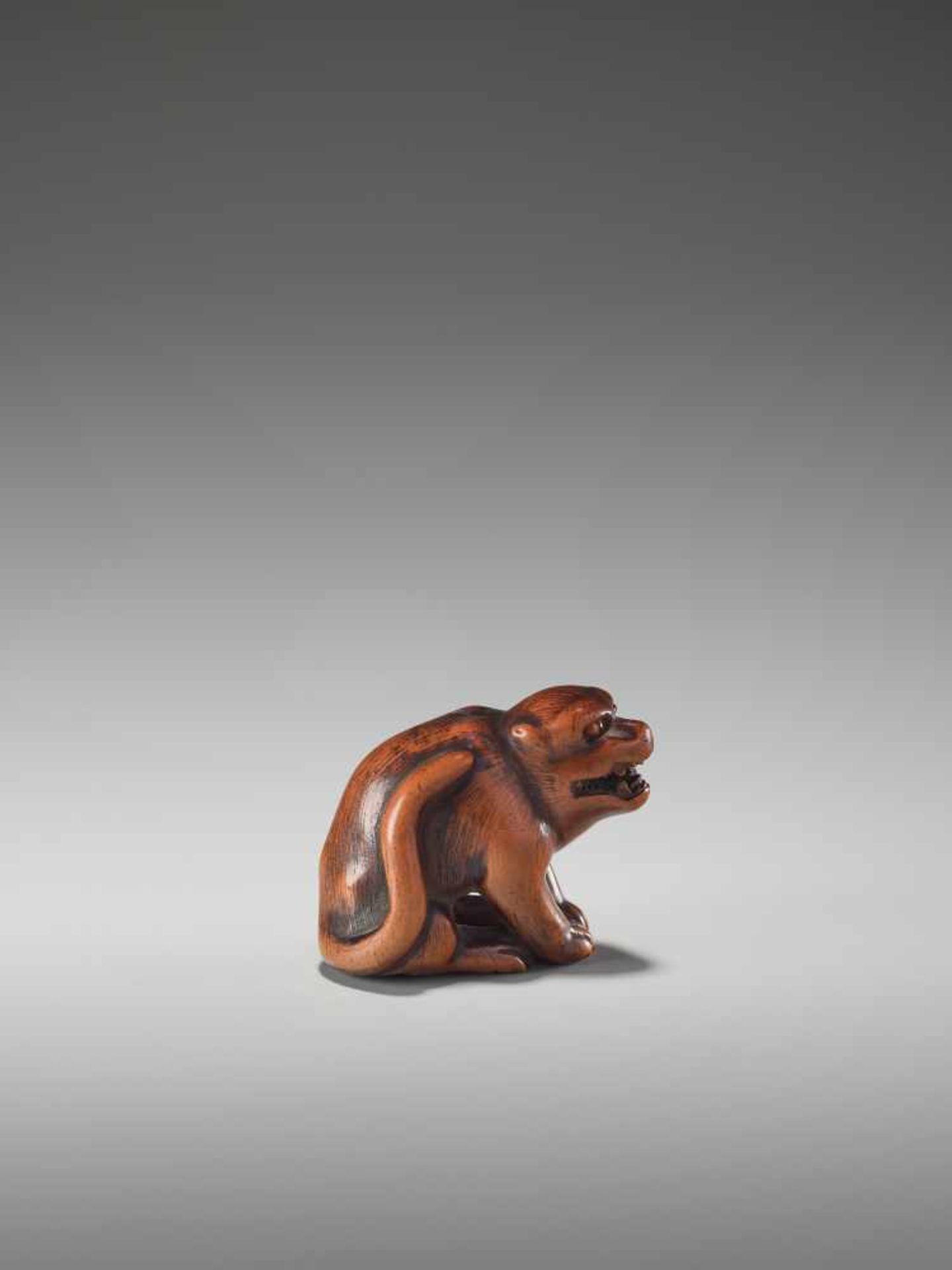 A WOOD NETSUKE OF A TIGERUnsigned, wood netsukeJapan, early 19th century, Edo period (1615-1868) - Bild 7 aus 8