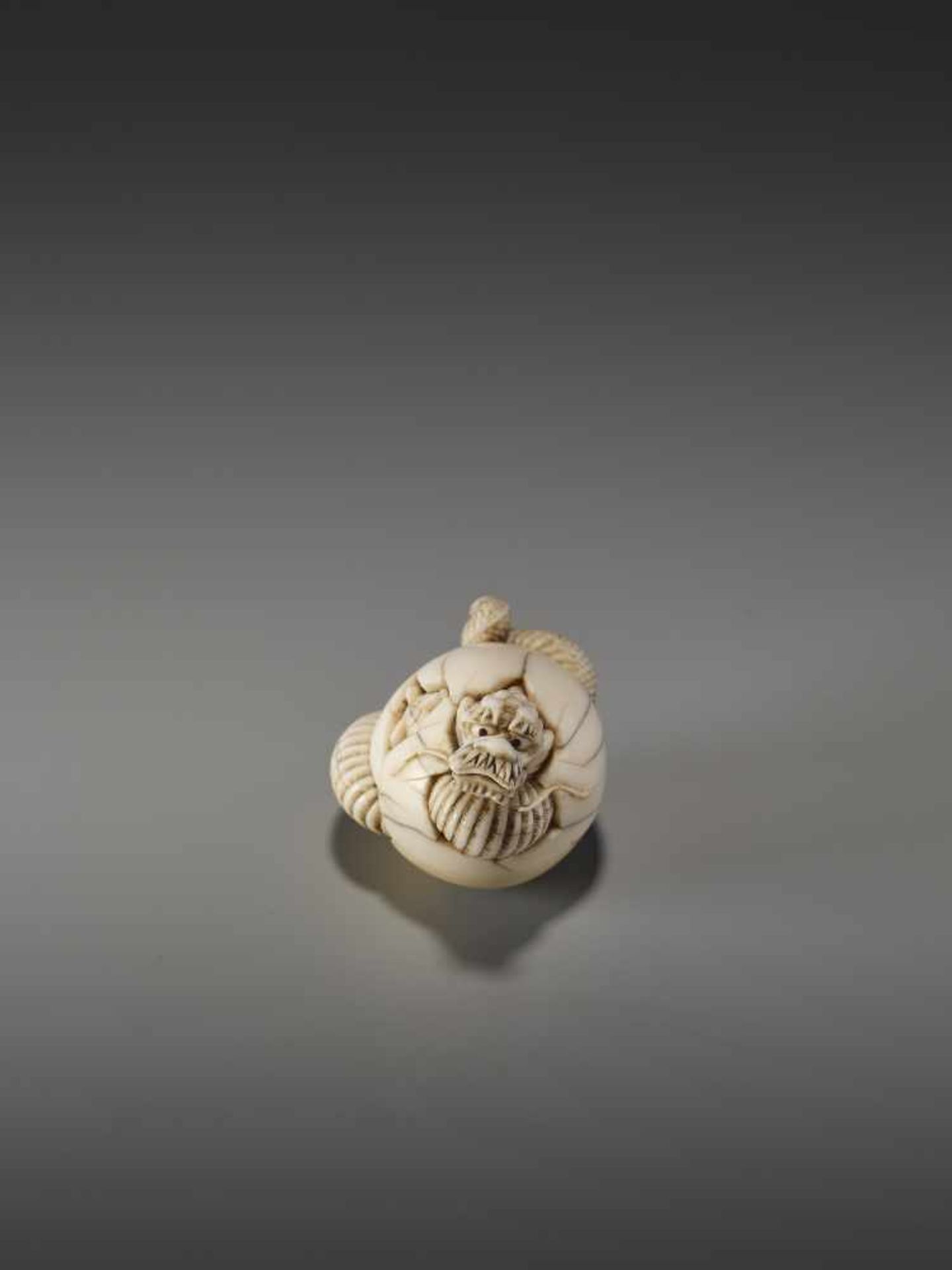 A VERY RARE IVORY NETSUKE OF A DRAGON HATCHING FROM AN EGG BY ICHISHIDO MASAKAZUBy Ichishido - Bild 2 aus 10