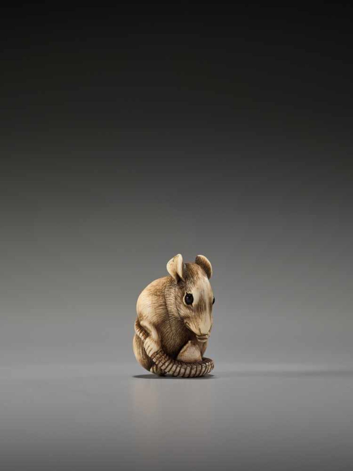 A POWERFUL KYOTO SCHOOL IVORY NETSUKE OF A RAT WITH A BEAN PODUnsigned, ivory netsukeJapan, Kyoto,