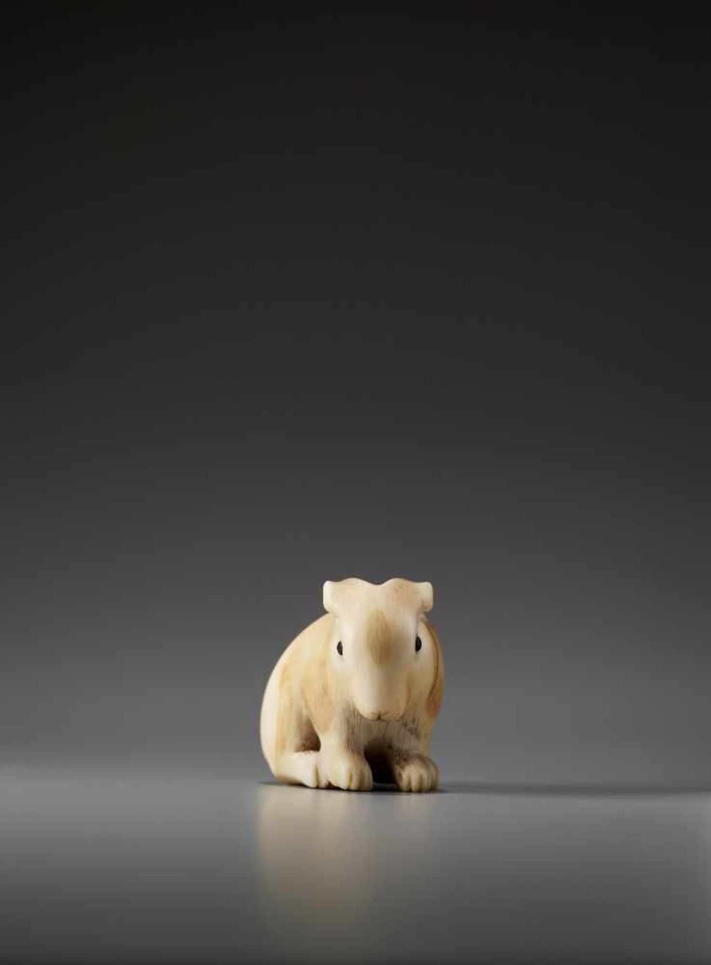 AN IVORY NETSUKE OF A PIEBALD RABBIT BY RANICHIBy Ranichi, ivory netsukeJapan, Kyoto, 19th - Image 5 of 9