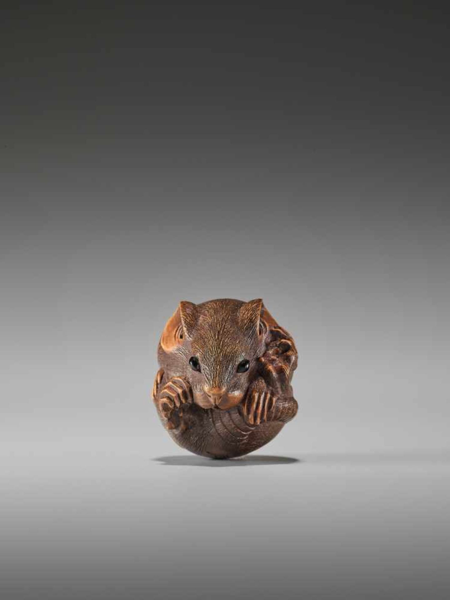 A FINE WOOD NETSUKE OF A COILED RAT BY MASANAOBy Masanao, wood netsukeJapan, Ise-Yamada, 19th - Image 2 of 8