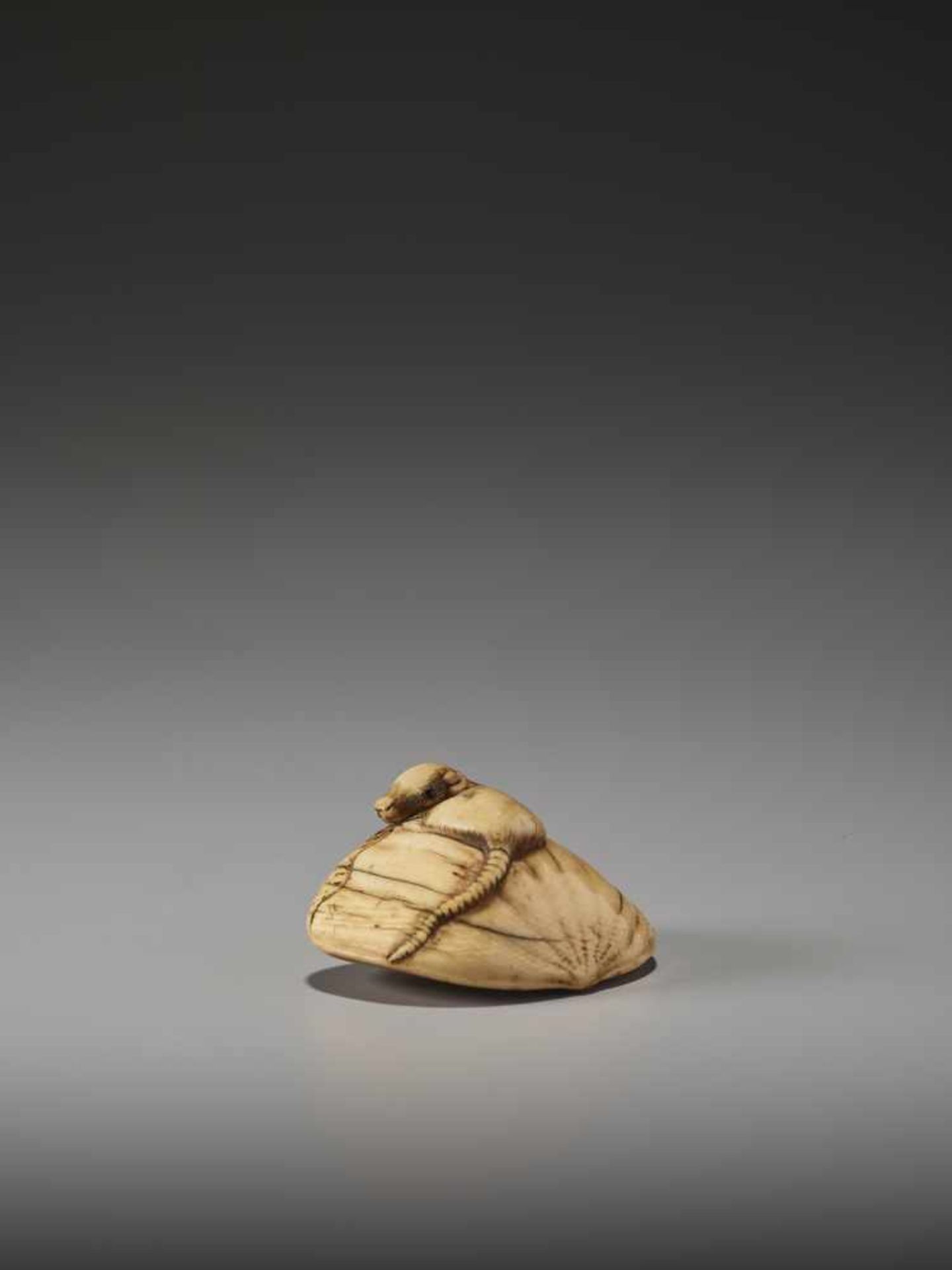 AN IVORY NETSUKE OF A RAT ON A LARGE CHESTNUTUnsigned, ivory netsukeJapan, probably Kyoto, early - Bild 3 aus 6