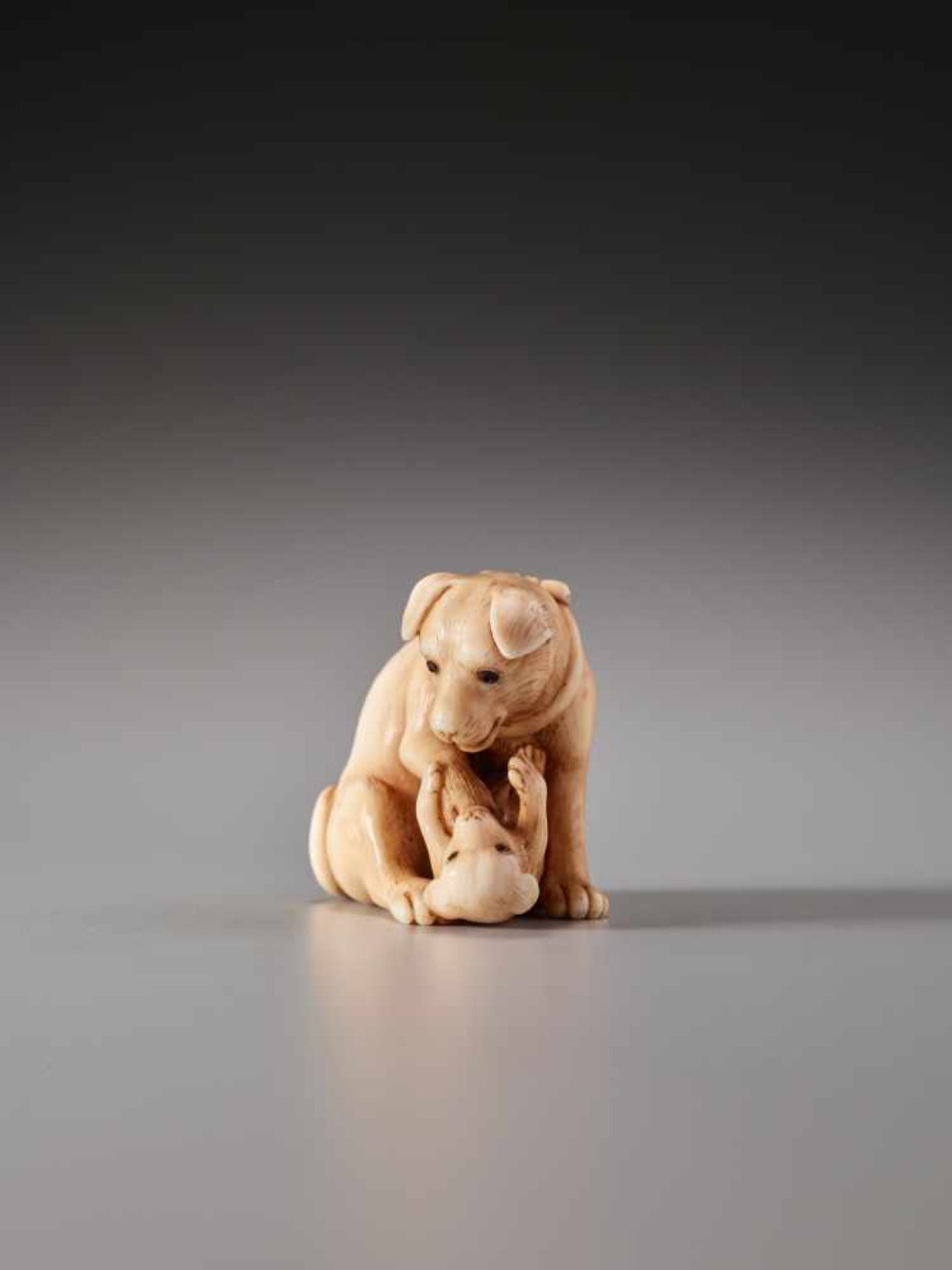 A CHARMING AND FINE NETSUKE OF A DOG WITH PUP BY TANETOSHIBy Tanetoshi, ivory netsukeJapan, 20th - Bild 4 aus 9