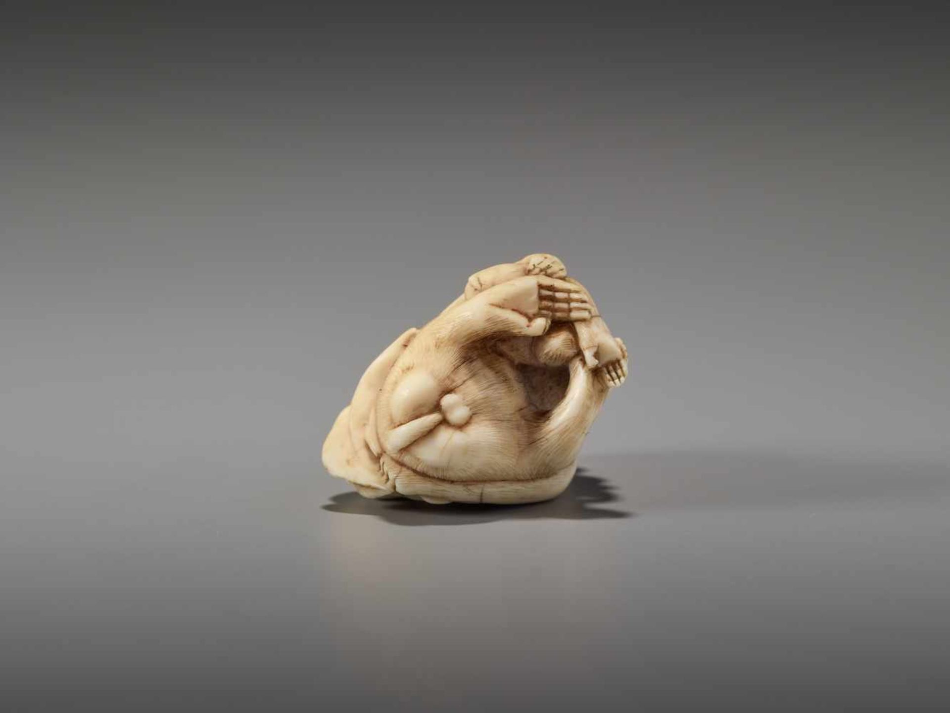 A FINE NETSUKE OF THREE MONKEYS WITH A PEACH, SCHOOL OF OHARA MITSUHIRO (1810-1875)Signed Mitsuhiro, - Image 9 of 12