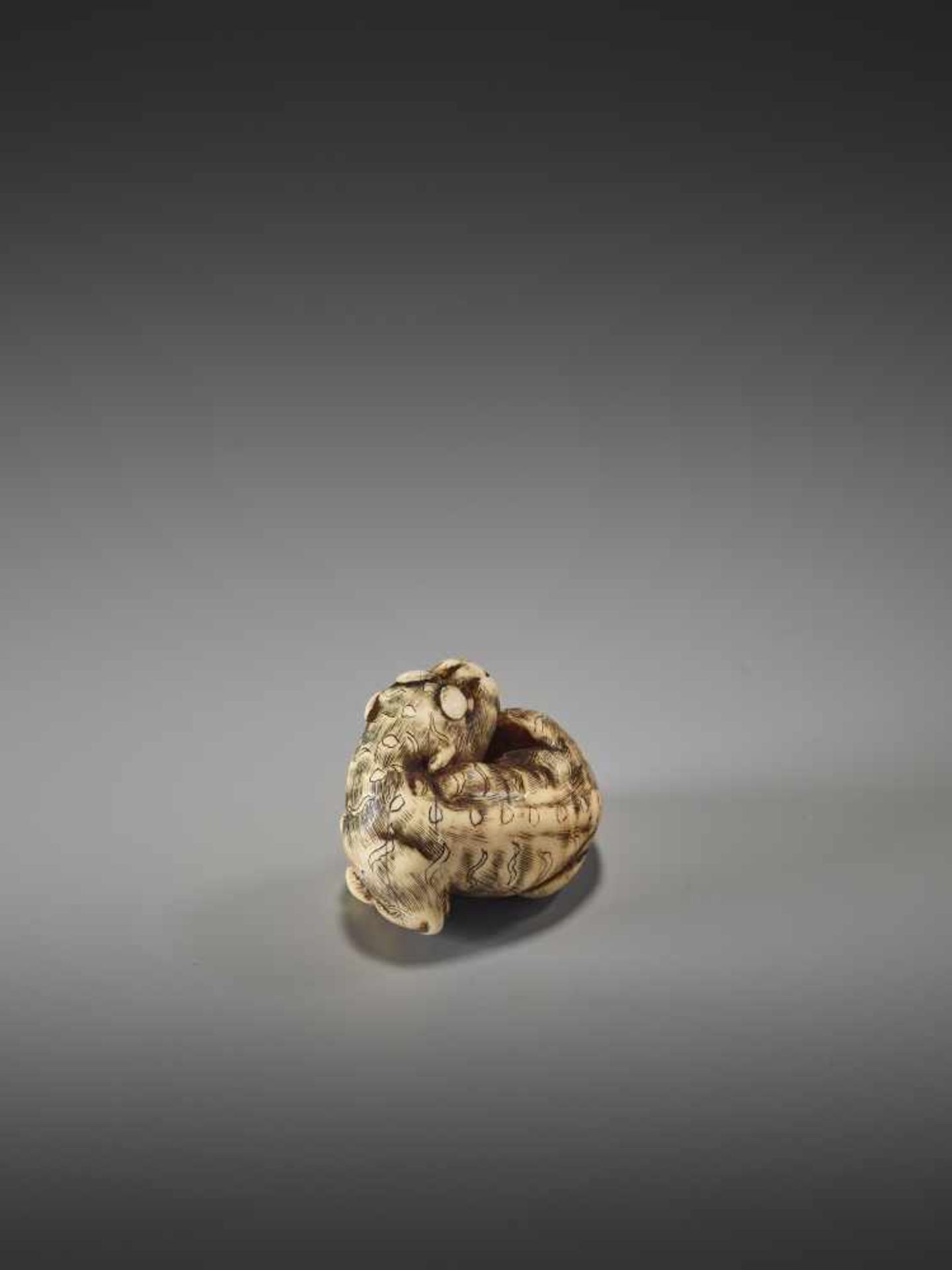 A GOOD KYOTO SCHOOL IVORY NETSUKE OF A TIGERUnsigned, ivory netsukeJapan, Kyoto, early 19th century, - Image 6 of 7