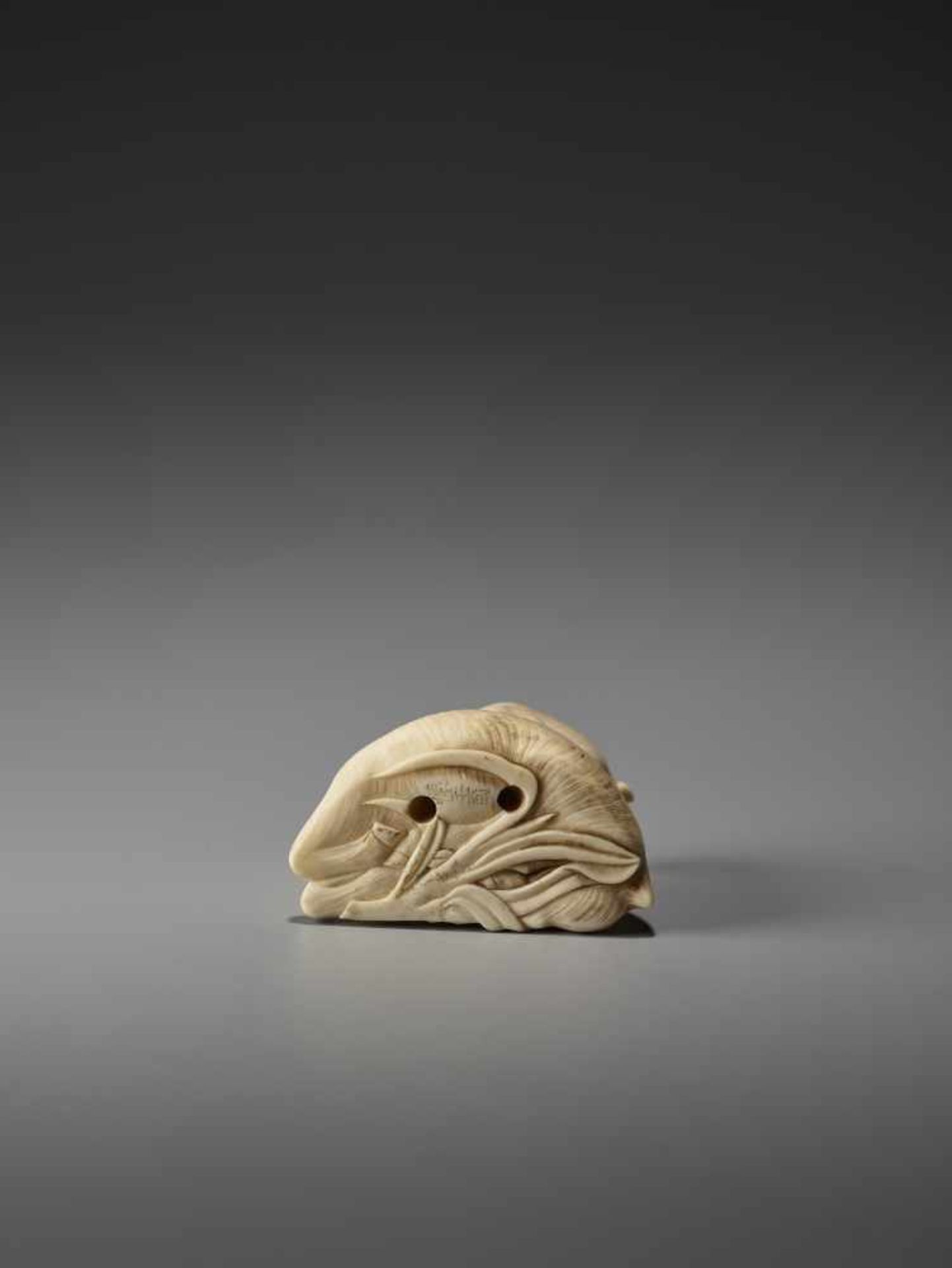 A FINE IVORY NETSUKE OF GROUP OF GOATS AFTER KAIGYOKUSAI MASATSUGU (1813-1892) Signed Kaigyokusai, - Bild 8 aus 9