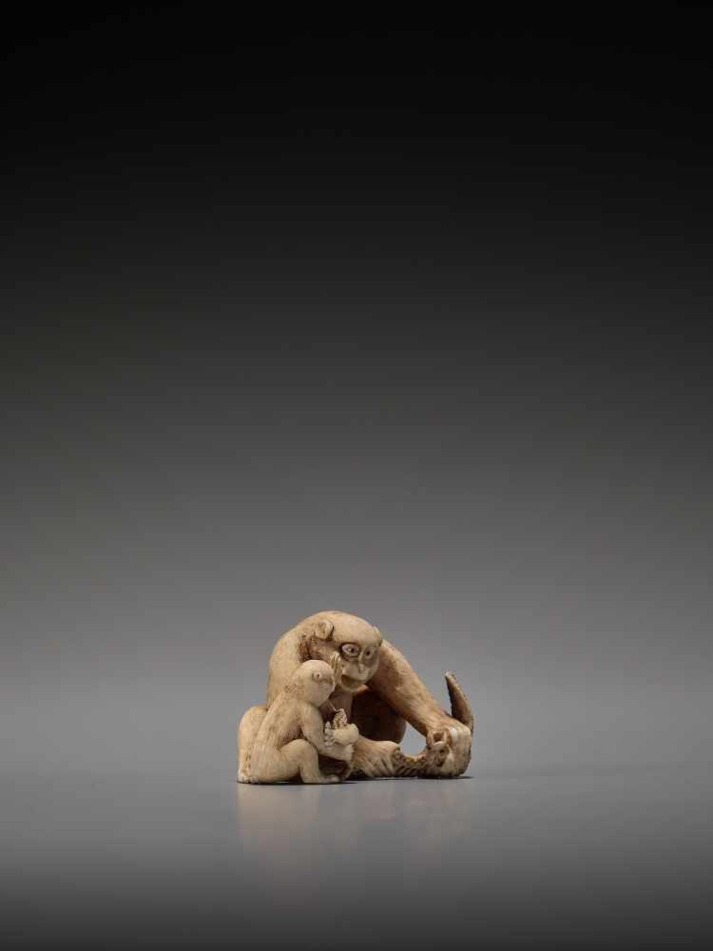 AN IVORY NETSUKE OF A MONKEY TEACHING HIS YOUNG BY SEIGYOKUBy Seigyoku, ivory netsukeJapan, late - Bild 6 aus 9