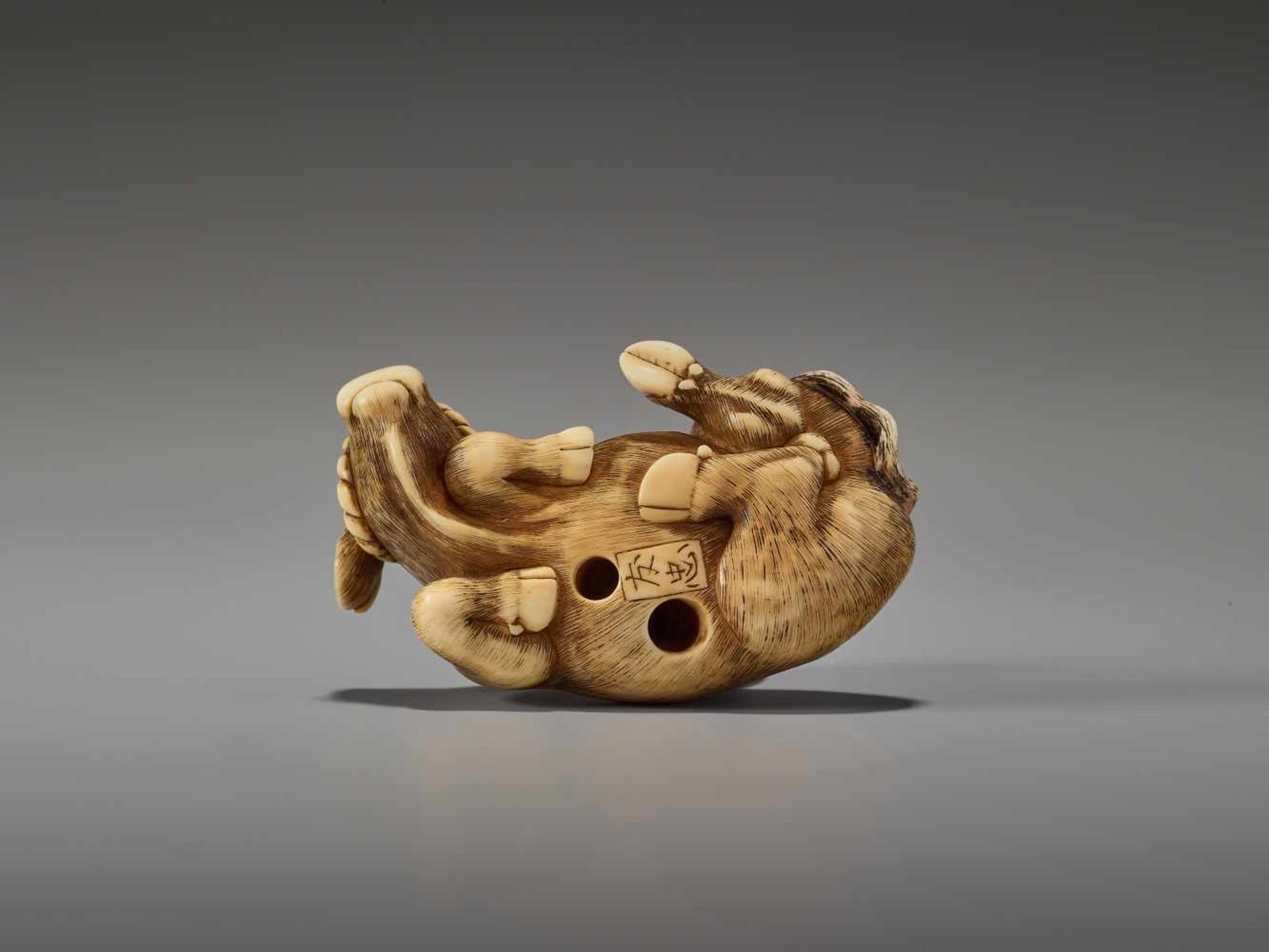 AN EXCELLENT IVORY NETSUKE OF A RECUMBENT OX BY TOMOTADABy Tomotada, ivory netsukeJapan, Kyoto, 18th - Image 2 of 12