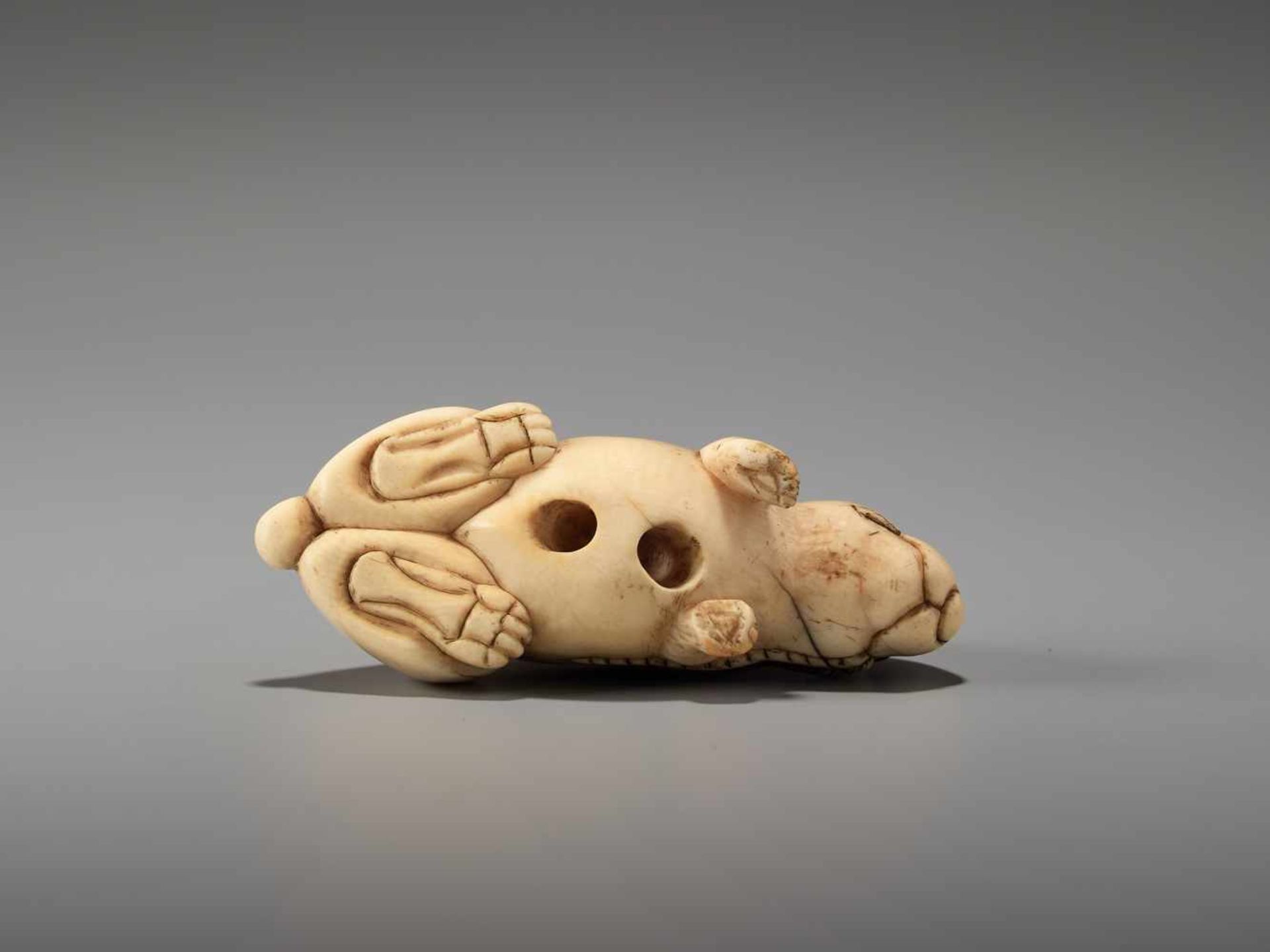 AN UNUSUAL AND AMUSING IVORY NETSUKE OF A RABBITUnsigned, ivory netsukeJapan, 19th century, Edo - Image 6 of 6