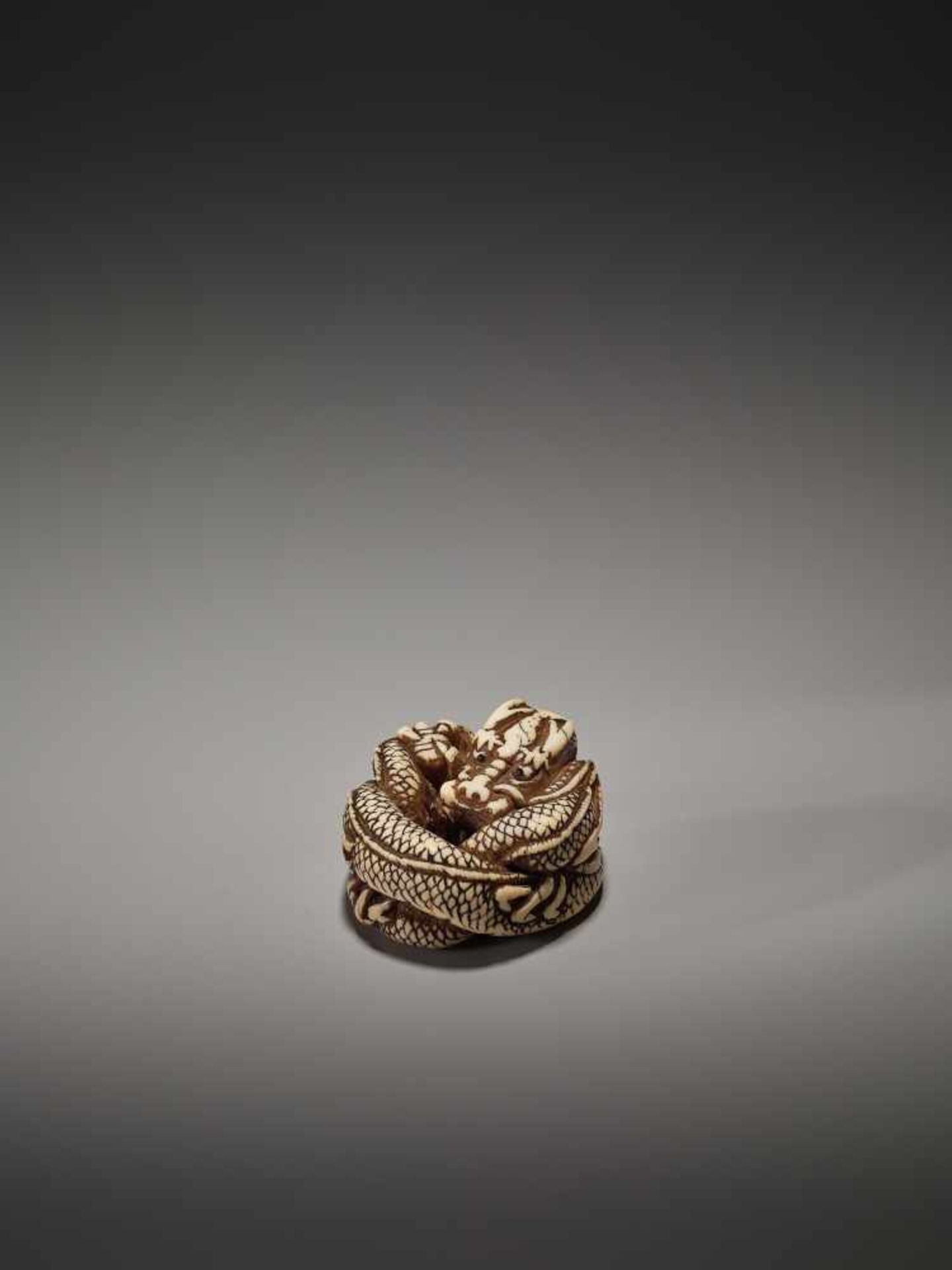 A KYOTO-SCHOOL IVORY NETSUKE OF A COILED DRAGONUnsigned, ivory netsukeJapan, Kyoto, late 18th to - Image 7 of 8