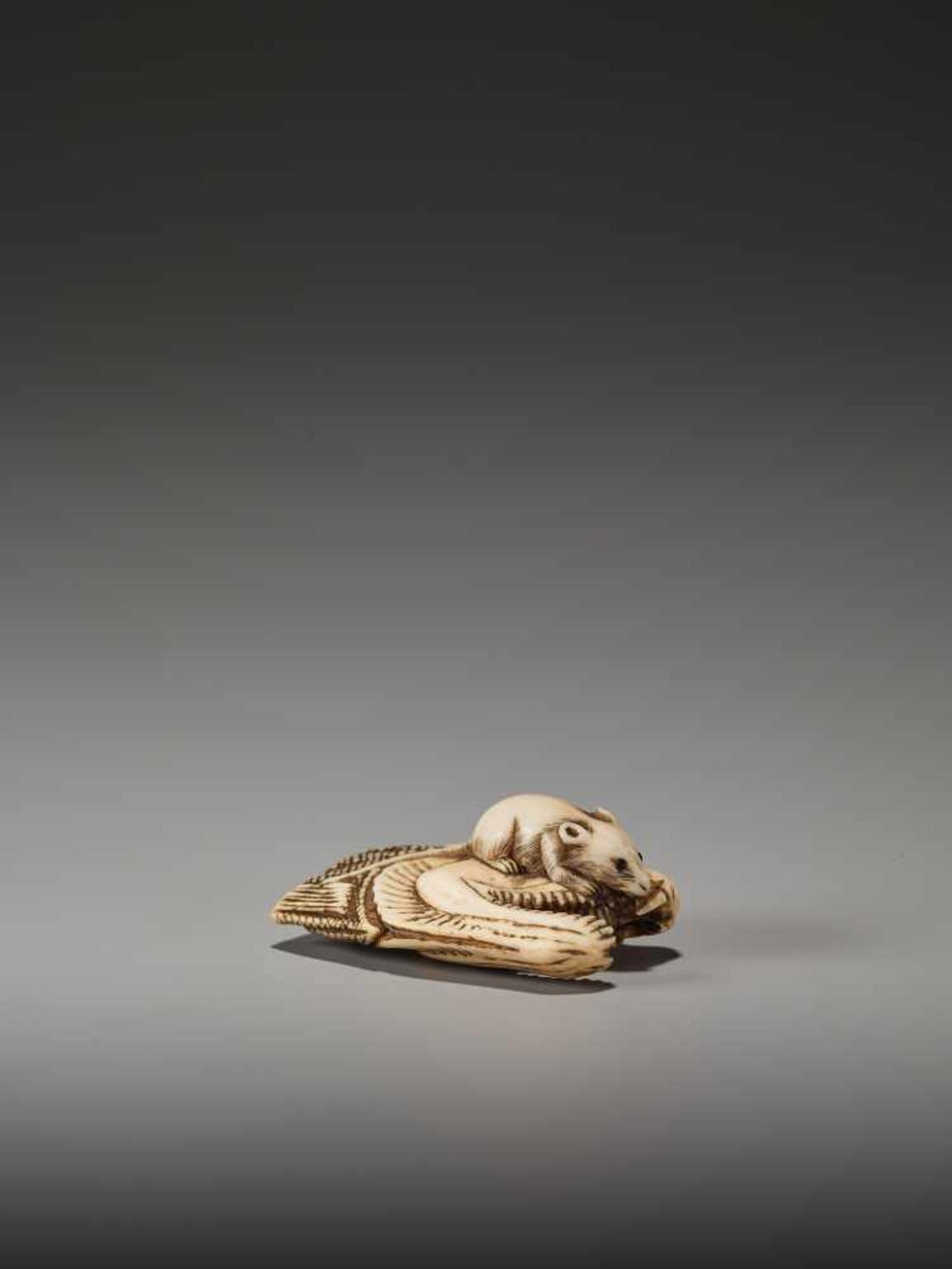 AN IVORY NETSUKE OF A RAT ON A DRIED SALMON HEADUnsigned, ivory netsukeJapan, 19th century, Edo - Bild 2 aus 7