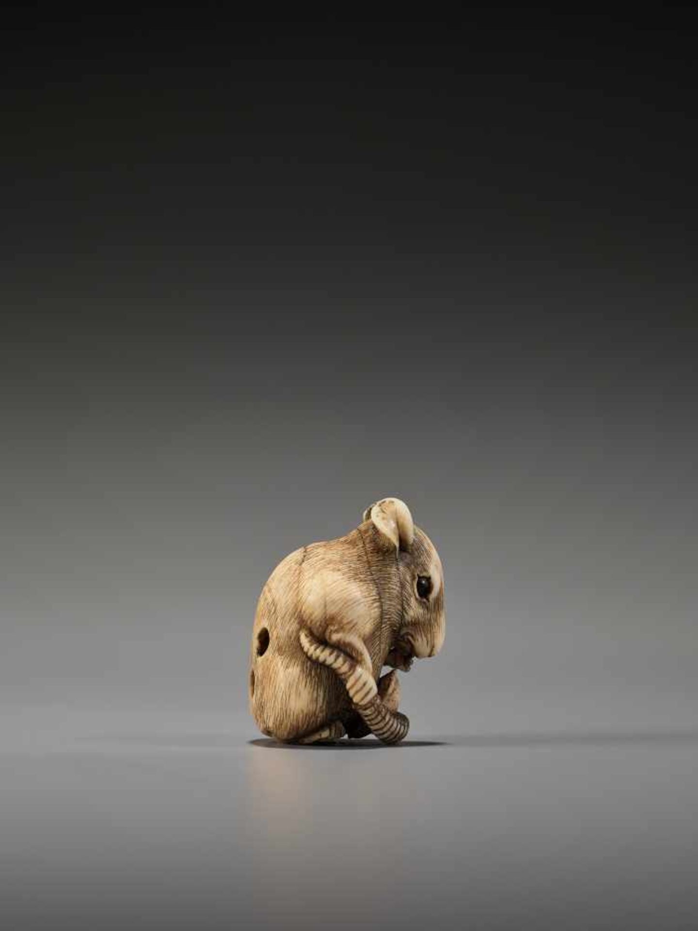 A POWERFUL KYOTO SCHOOL IVORY NETSUKE OF A RAT WITH A BEAN PODUnsigned, ivory netsukeJapan, Kyoto, - Image 8 of 12