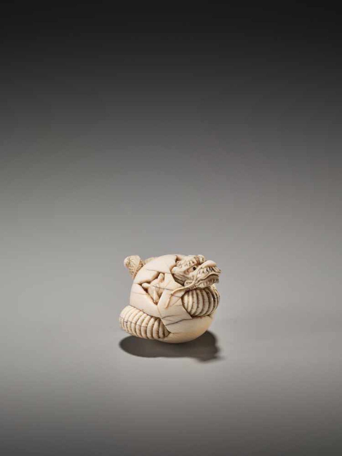 A VERY RARE IVORY NETSUKE OF A DRAGON HATCHING FROM AN EGG BY ICHISHIDO MASAKAZUBy Ichishido - Bild 3 aus 10