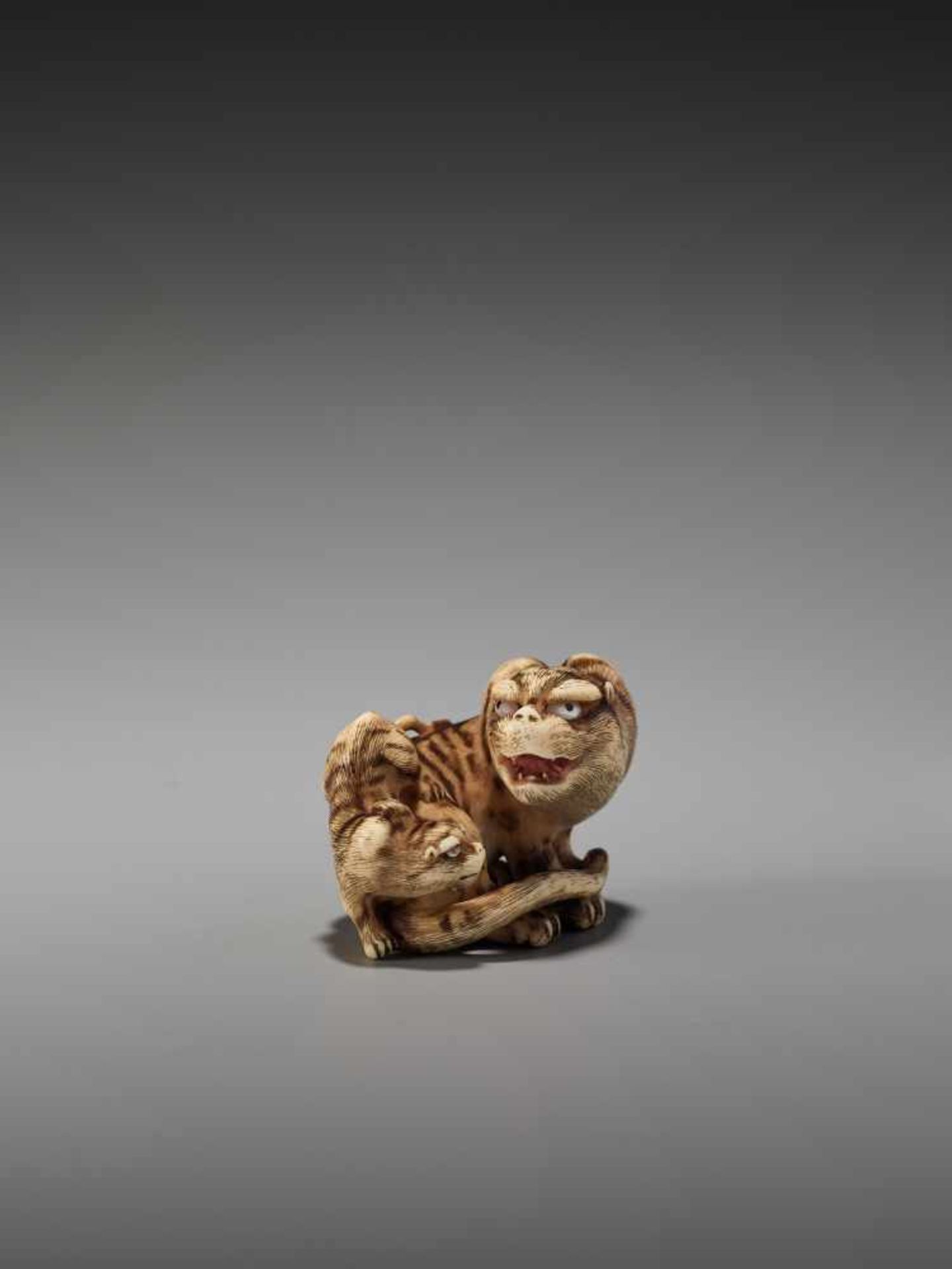 AN EXCEPTIONAL IVORY NETSUKE OF A TIGER WITH CUB BY HAKURYUBy Hakuryu, ivory netsukeJapan, Kyoto, - Image 2 of 13