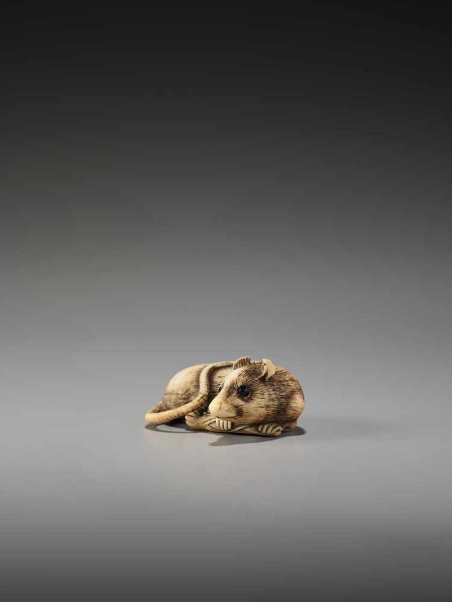 AN EXCELLENT IVORY NETSUKE OF A RAT WITH BAMBOO NODE BY SADAYOSHIBy Sadayoshi, ivory netsukeJapan, - Image 7 of 11