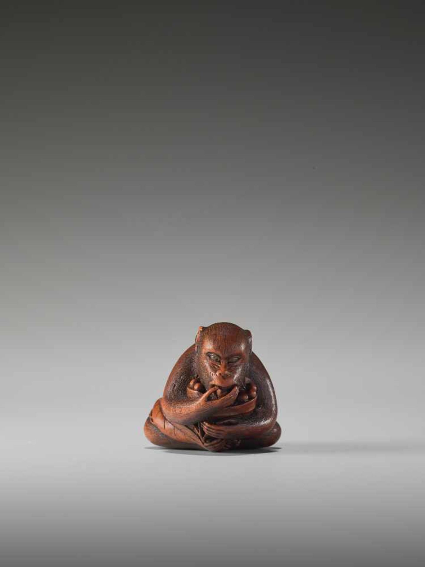 AN EXCELLENT WOOD NETSUKE OF A MONKEY EATING BERRIES BY KANO TOMOKAZUBy Tomokazu, wood netsukeJapan, - Image 3 of 11