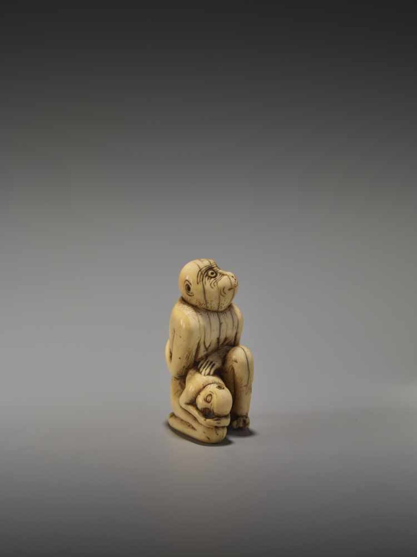 A RARE AND EARLY IVORY NETSUKE OF TWO MONKEYSUnsigned, ivory netsukeJapan, 18th century, Edo - Image 6 of 9