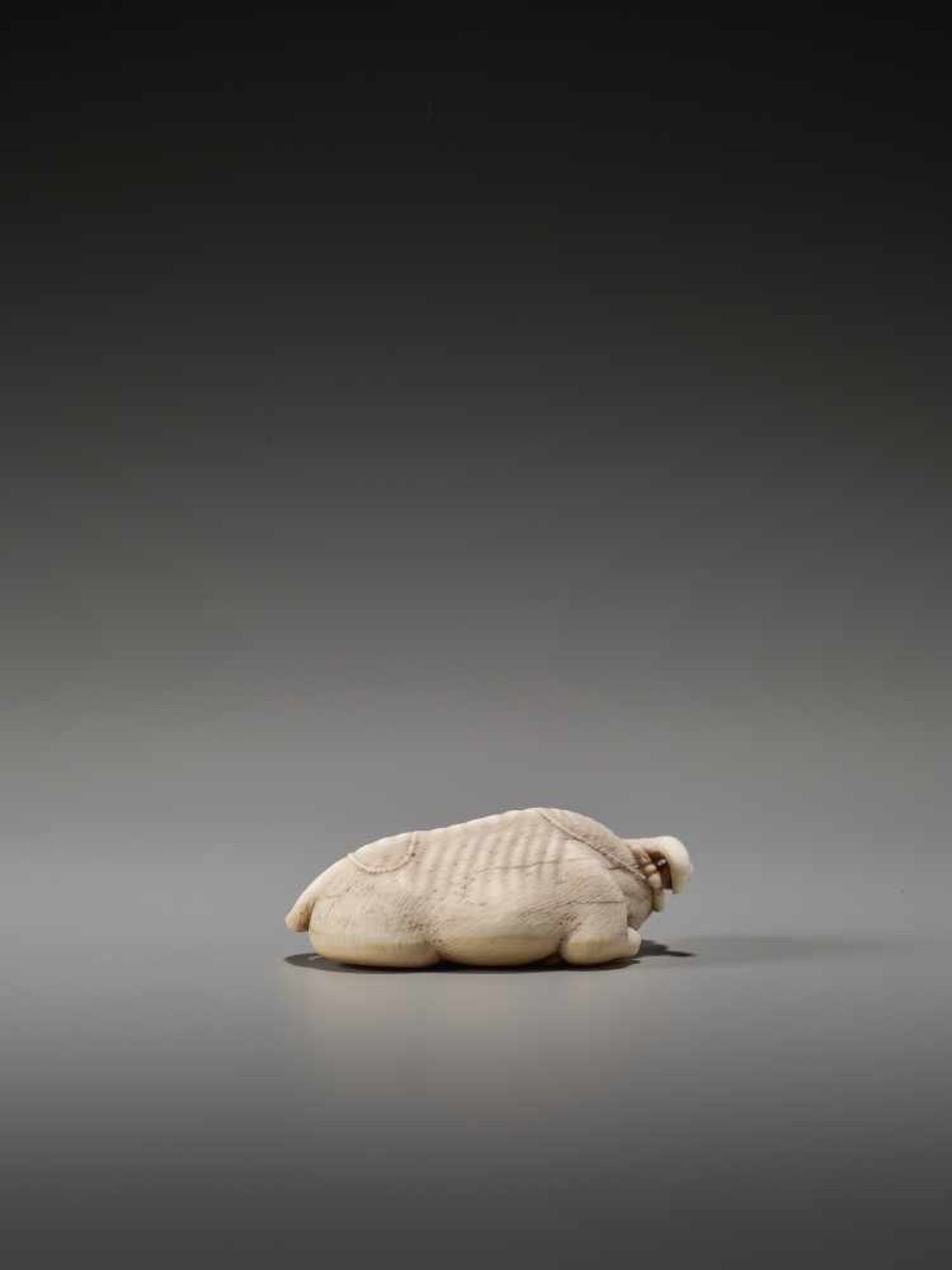 A FINE IVORY NETSUKE OF A RECUMBENT OX AFTER TOMOTADAAfter Tomotada, ivory netsukeJapan, Kyoto, 19th - Bild 5 aus 8