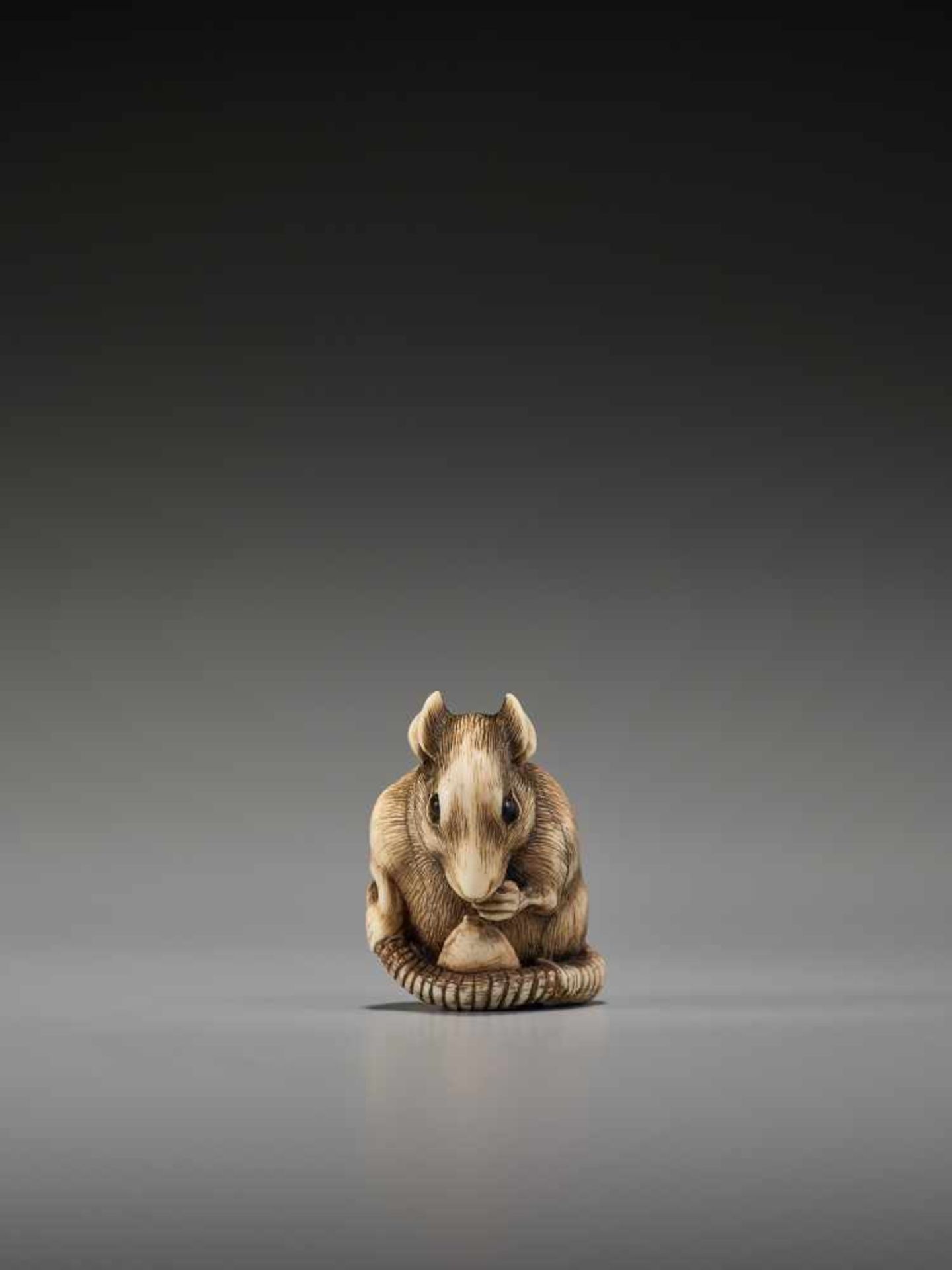 A POWERFUL KYOTO SCHOOL IVORY NETSUKE OF A RAT WITH A BEAN PODUnsigned, ivory netsukeJapan, Kyoto, - Bild 3 aus 12