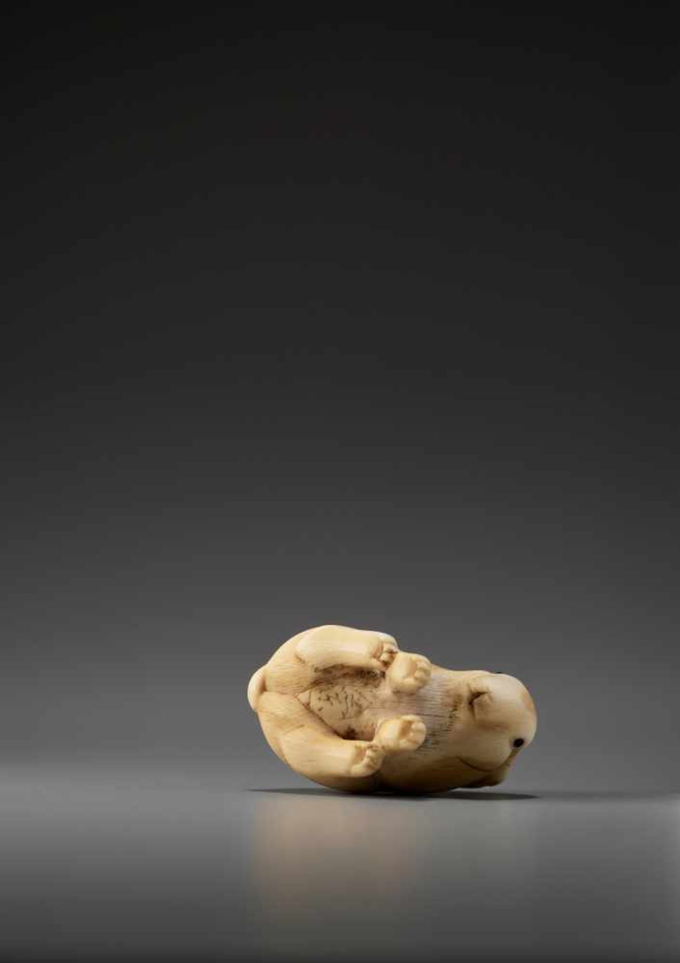 AN IVORY NETSUKE OF A PIEBALD RABBIT BY RANICHIBy Ranichi, ivory netsukeJapan, Kyoto, 19th - Image 6 of 9