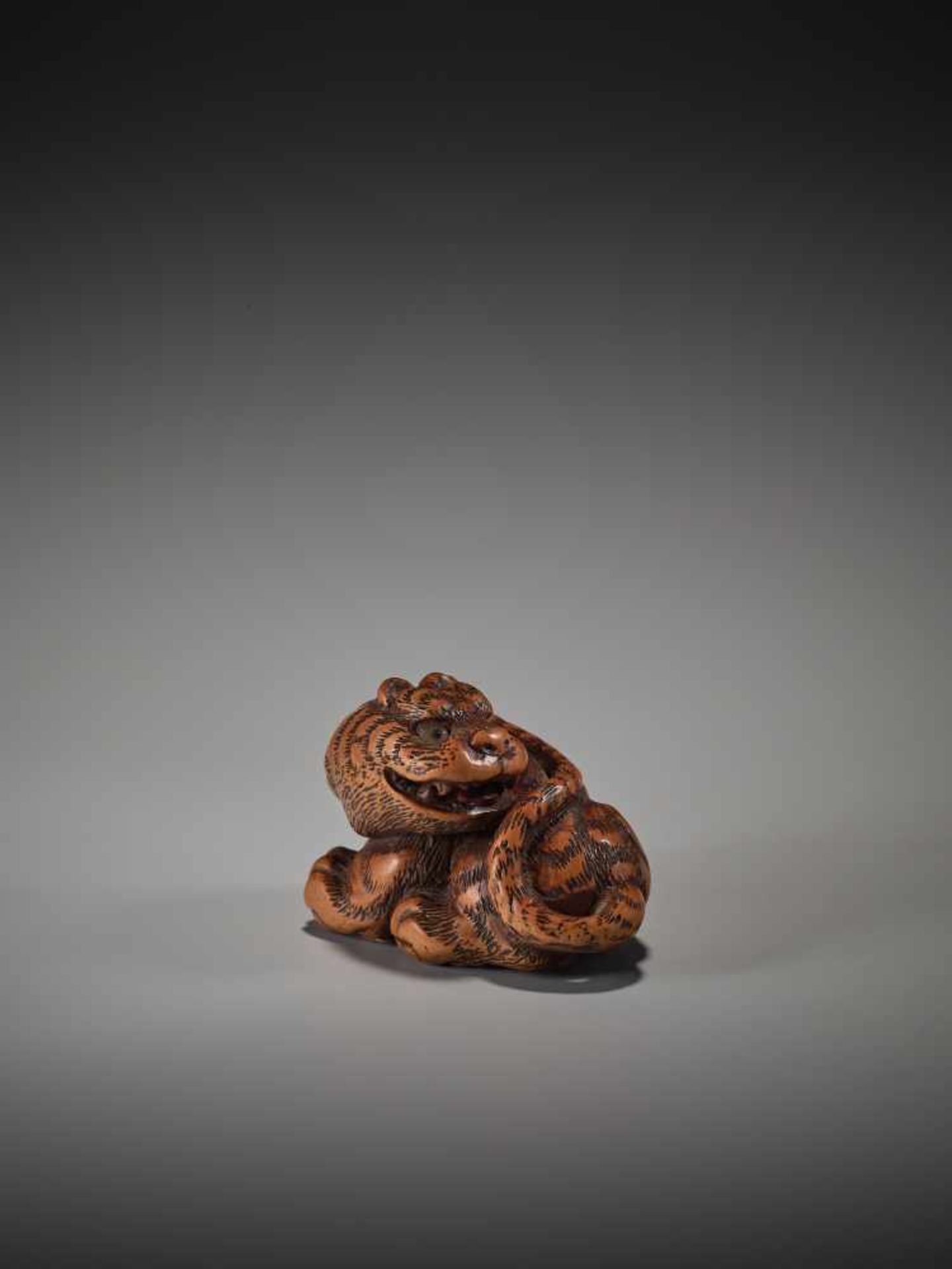 A WOOD NETSUKE OF A TIGER BY TANAKA MINKO (1735-1816)By Minko, wood netsukeJapan, Tsu, Ise province, - Image 4 of 10