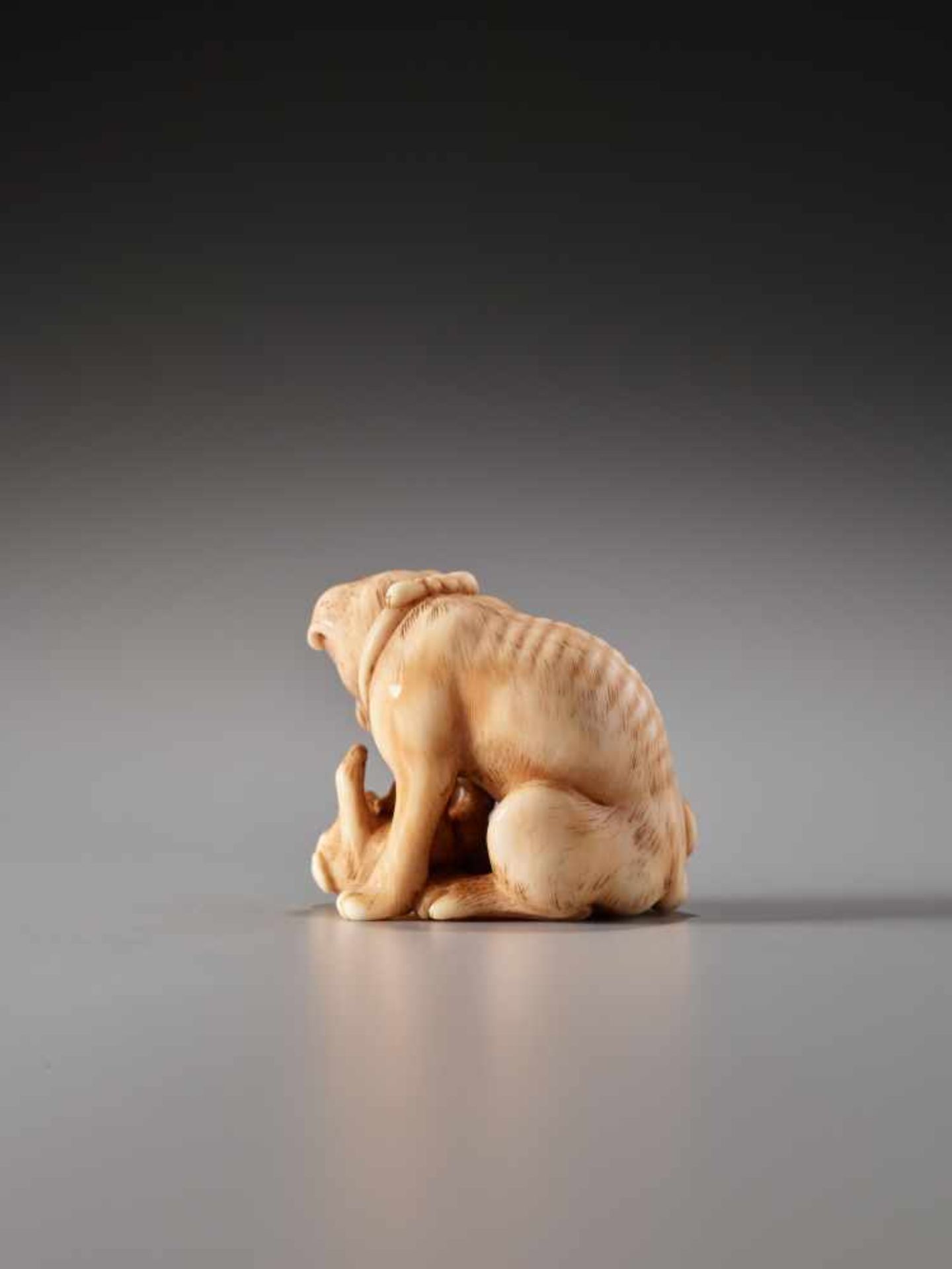 A CHARMING AND FINE NETSUKE OF A DOG WITH PUP BY TANETOSHIBy Tanetoshi, ivory netsukeJapan, 20th - Image 3 of 9