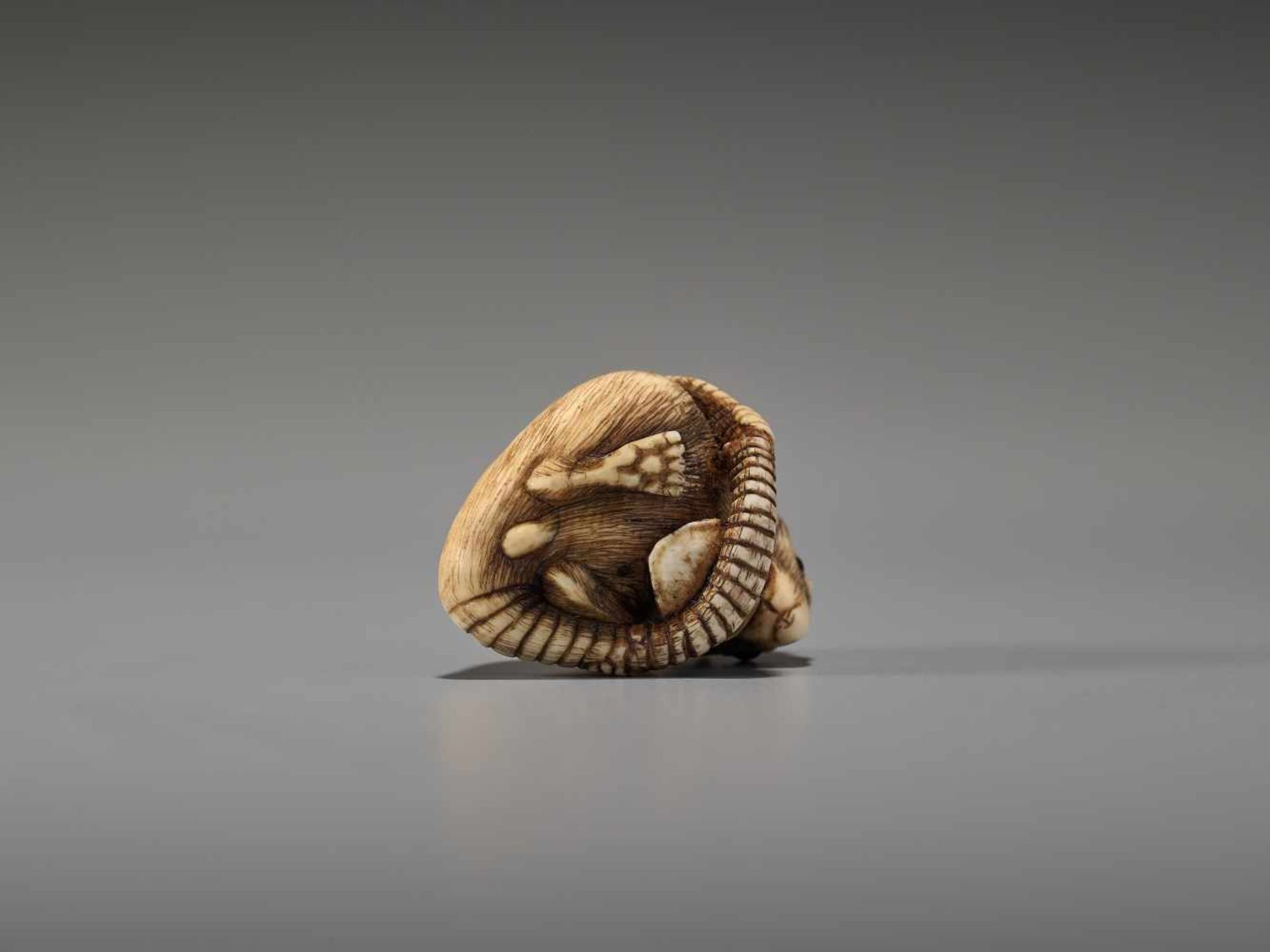 A POWERFUL KYOTO SCHOOL IVORY NETSUKE OF A RAT WITH A BEAN PODUnsigned, ivory netsukeJapan, Kyoto, - Bild 10 aus 12