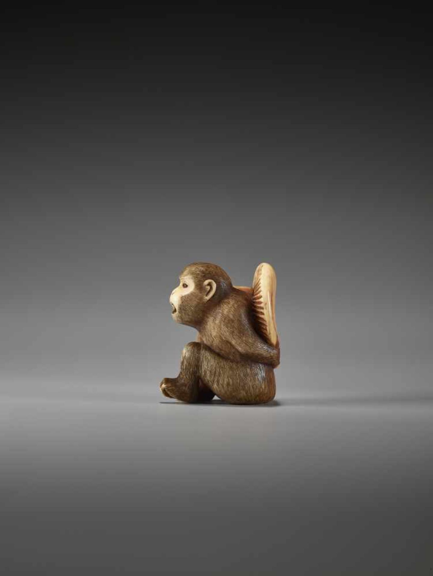 A FINE IVORY NETSUKE OF A MONKEY CARRYING A LARGE MUSHROOMUnsigned, ivory netsukeJapan, 19th - Bild 6 aus 7