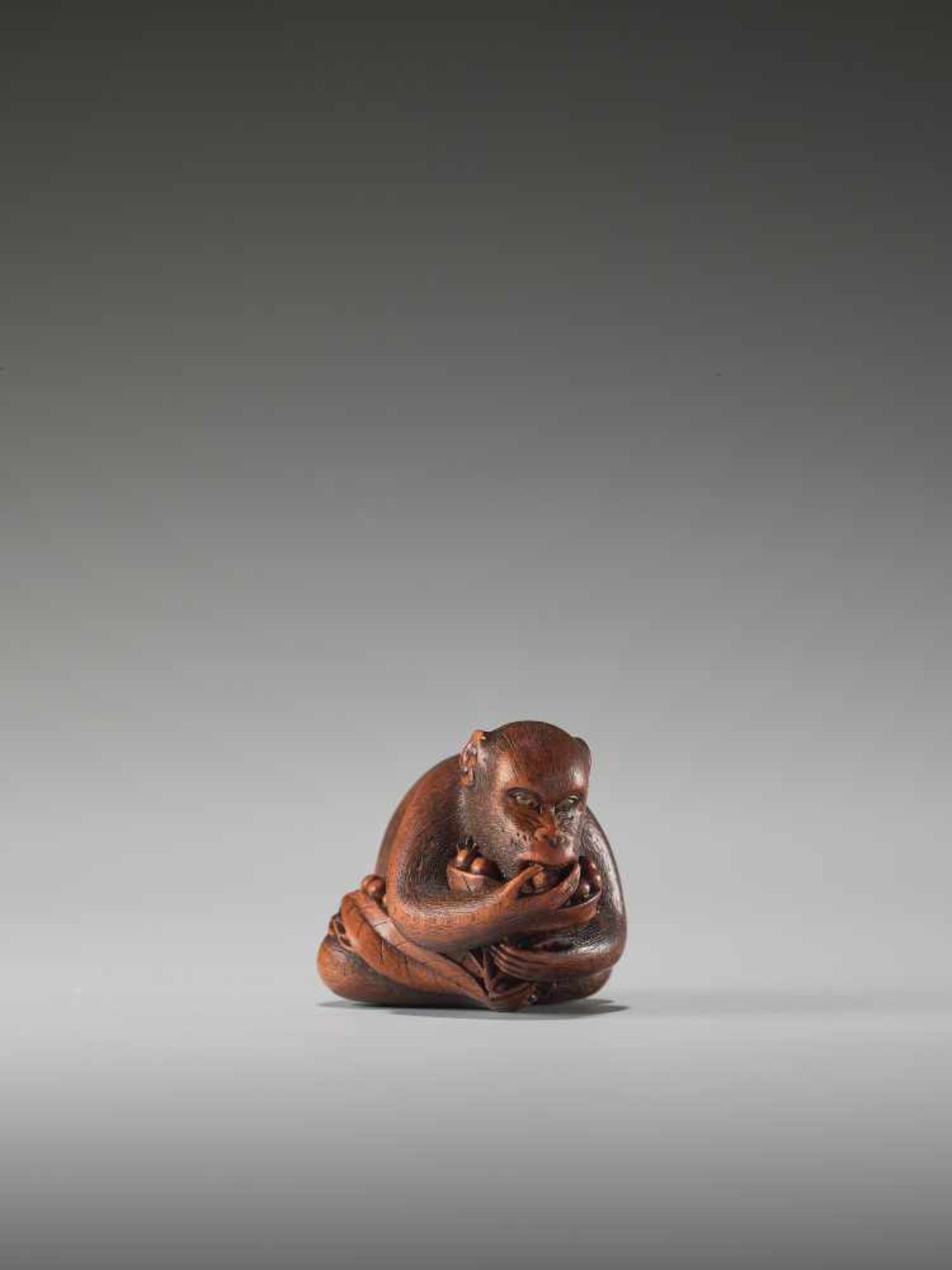 AN EXCELLENT WOOD NETSUKE OF A MONKEY EATING BERRIES BY KANO TOMOKAZUBy Tomokazu, wood netsukeJapan,