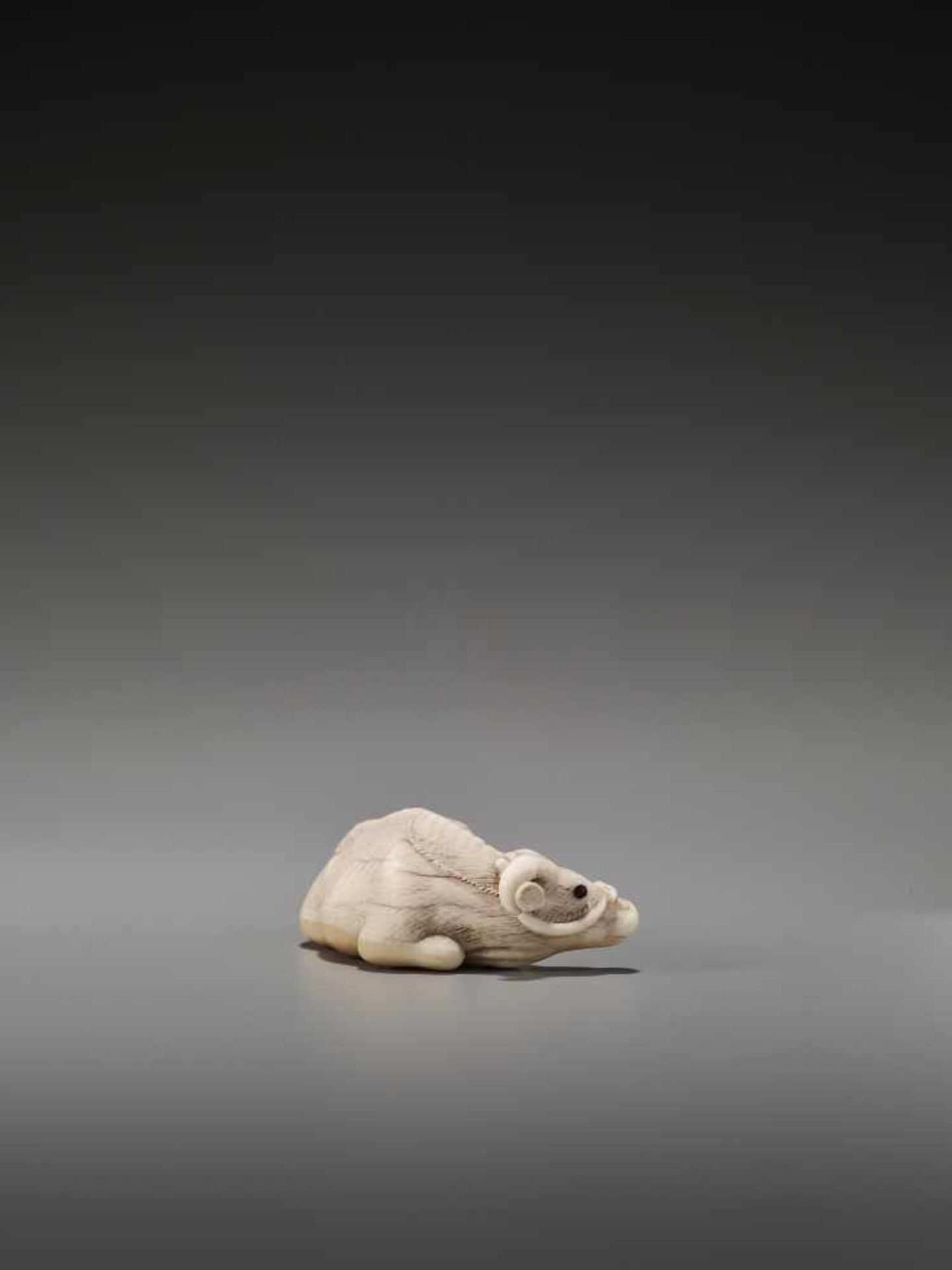 A FINE IVORY NETSUKE OF A RECUMBENT OX AFTER TOMOTADAAfter Tomotada, ivory netsukeJapan, Kyoto, 19th - Bild 6 aus 8