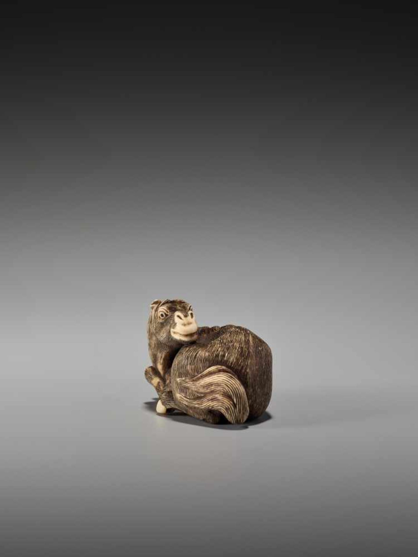 AN EXCELLENT AND RARE IVORY NETSUKE OF A RECUMBENT HORSE BY MITSUHIDEBy Mitsuhide, ivory - Image 3 of 13