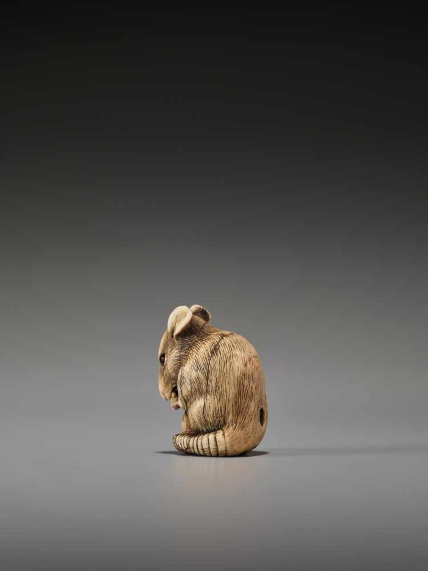 A POWERFUL KYOTO SCHOOL IVORY NETSUKE OF A RAT WITH A BEAN PODUnsigned, ivory netsukeJapan, Kyoto, - Image 7 of 12