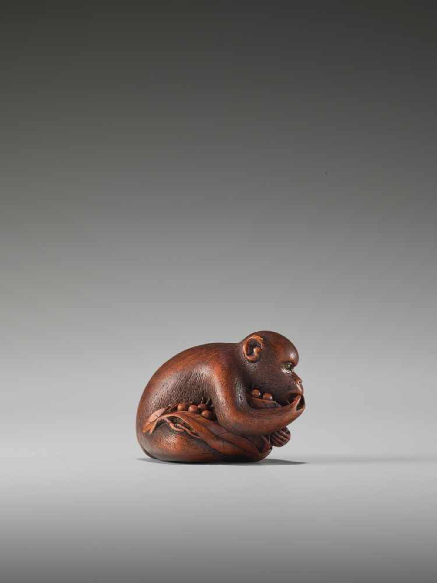 AN EXCELLENT WOOD NETSUKE OF A MONKEY EATING BERRIES BY KANO TOMOKAZUBy Tomokazu, wood netsukeJapan, - Image 2 of 11