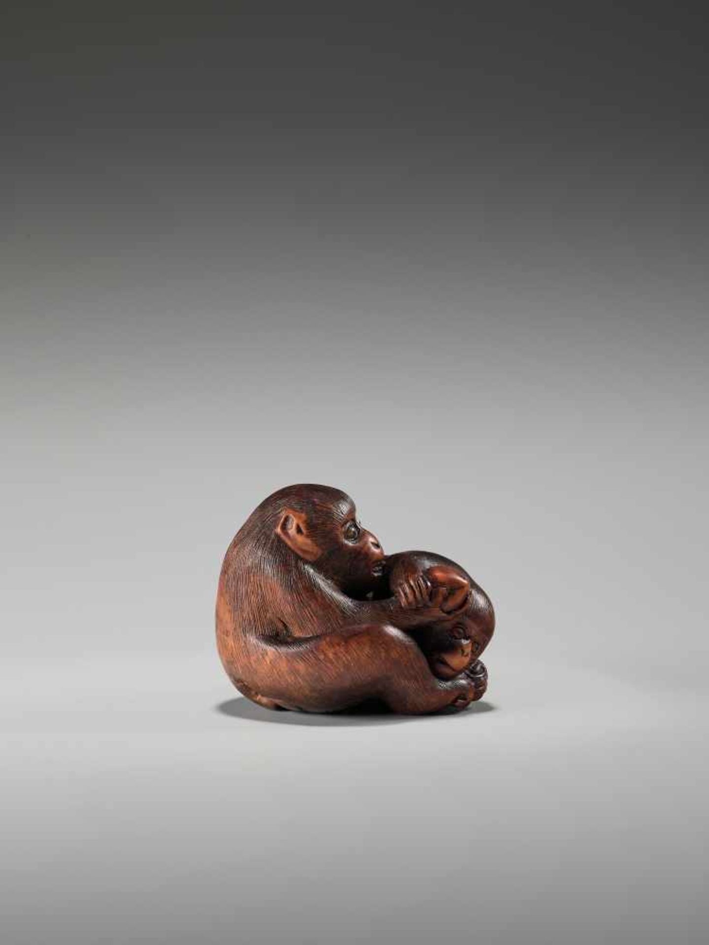 AN UNUSUAL WOOD NETSUKE OF A BLIND MONKEY FIGHTING ANOTHER MONKEY BY MASACHIKABy Masachika, wood - Image 8 of 13