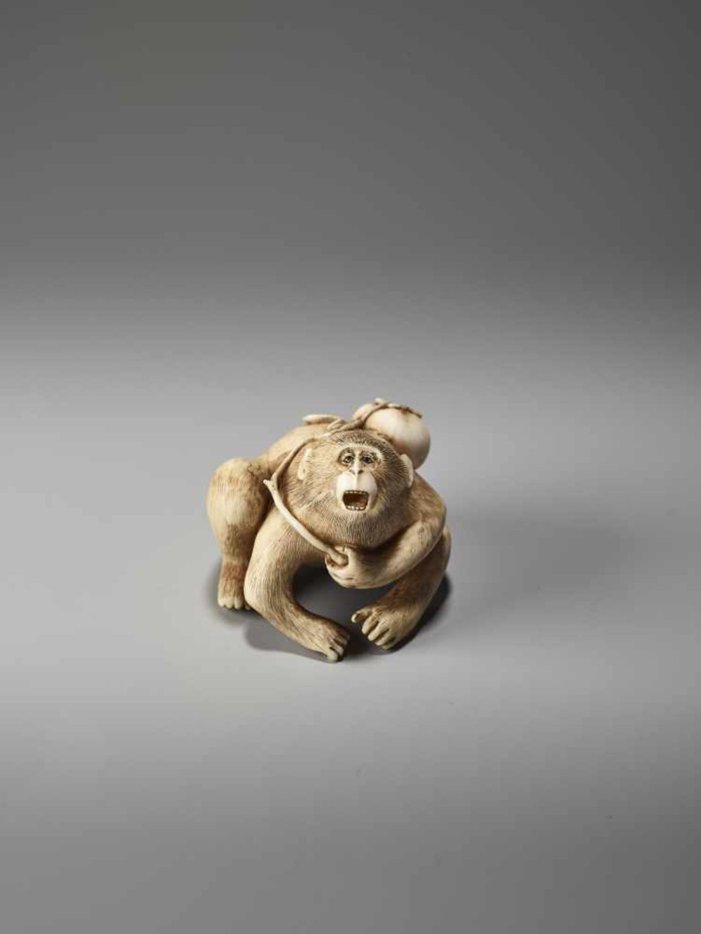 AN IVORY NETSUKE OF A MONKEY WITH KAKI FRUIT BY MASATAMIBy Masatami, ivory netsukeJapan, Tokyo, late - Image 2 of 9