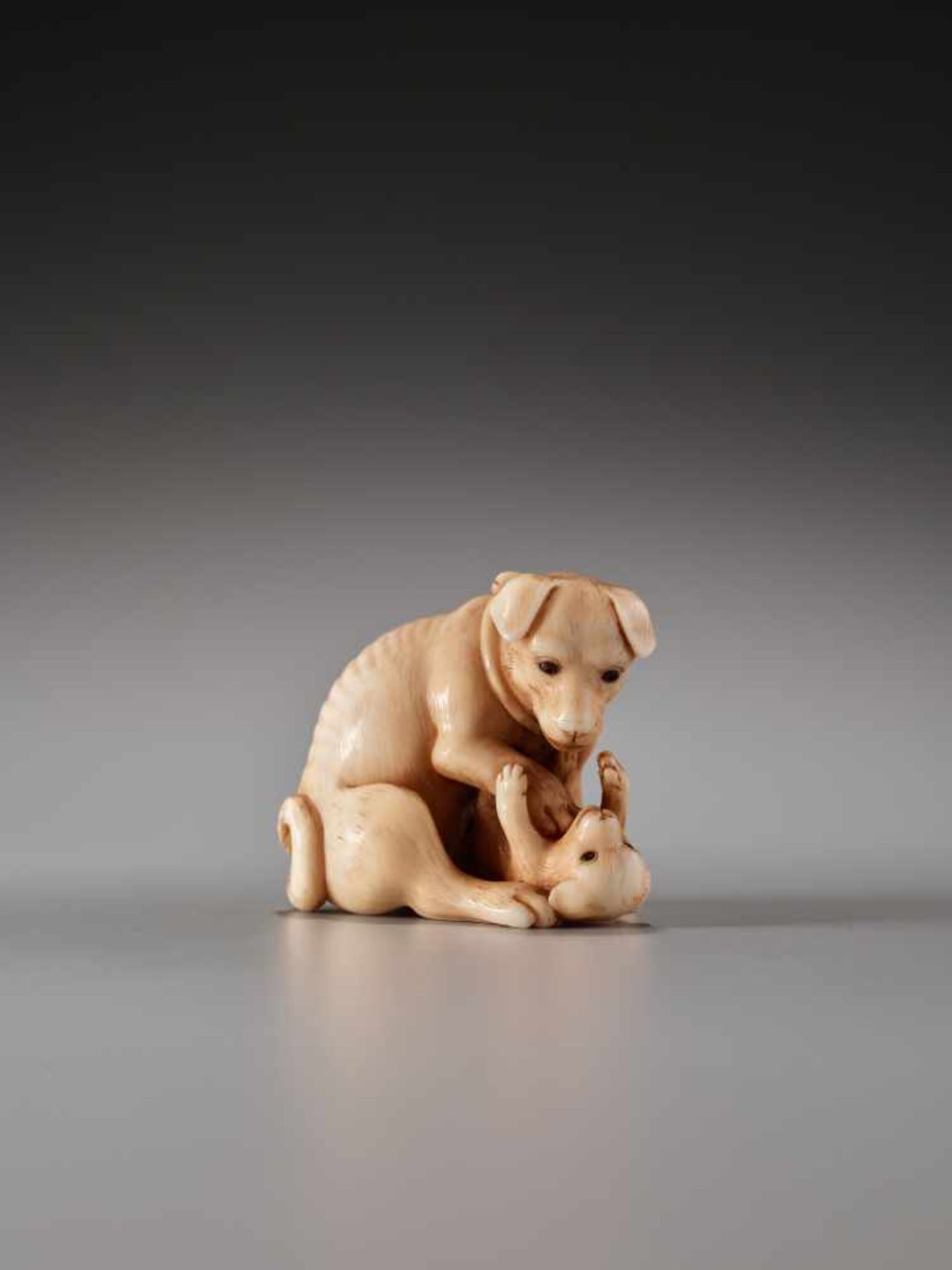 A CHARMING AND FINE NETSUKE OF A DOG WITH PUP BY TANETOSHIBy Tanetoshi, ivory netsukeJapan, 20th