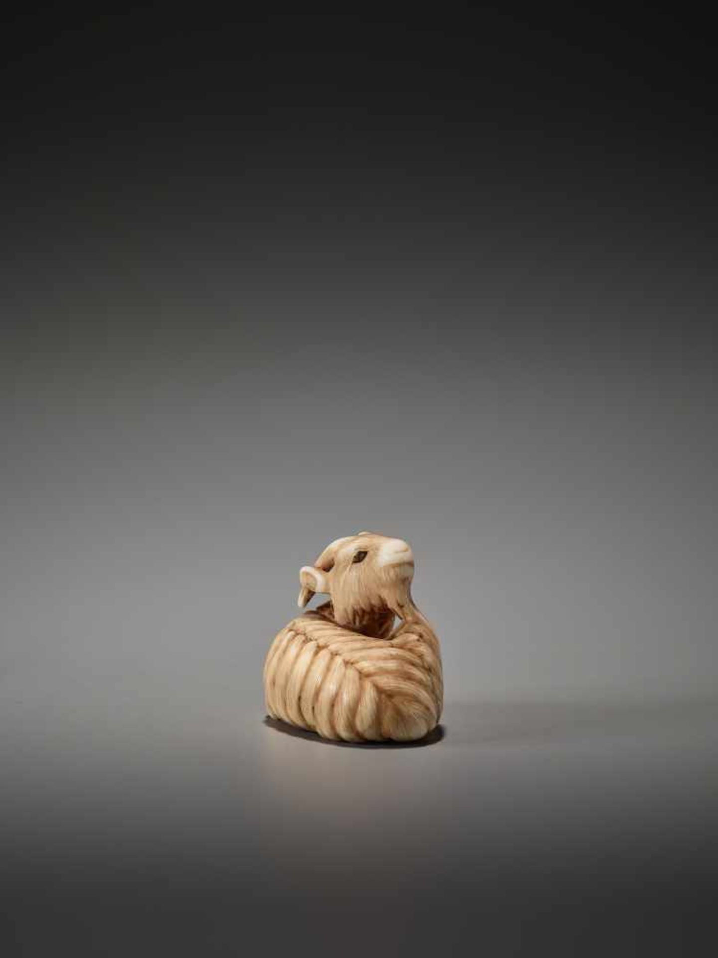 AN IVORY NETSUKE OF A RECUMBENT GOAT ATTRIBUTED TO RANMEIUnsigned, attributed to Ranmei, ivory - Bild 4 aus 7