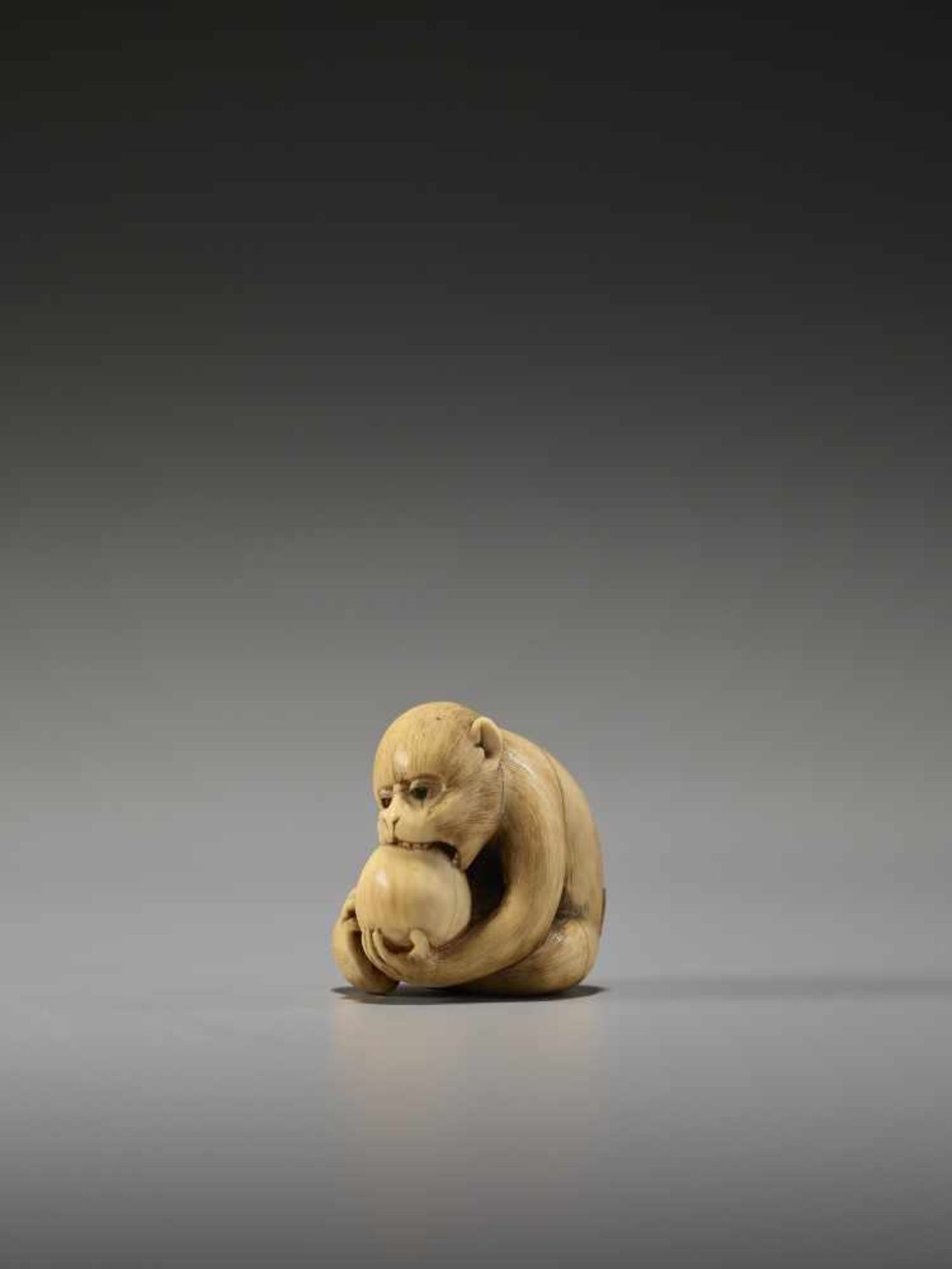 AN EXCELLENT IVORY NETSUKE OF A MONKEY EATING A PEACH BY RANTEIBy Rantei, ivory netsukeJapan, Kyoto, - Image 2 of 13