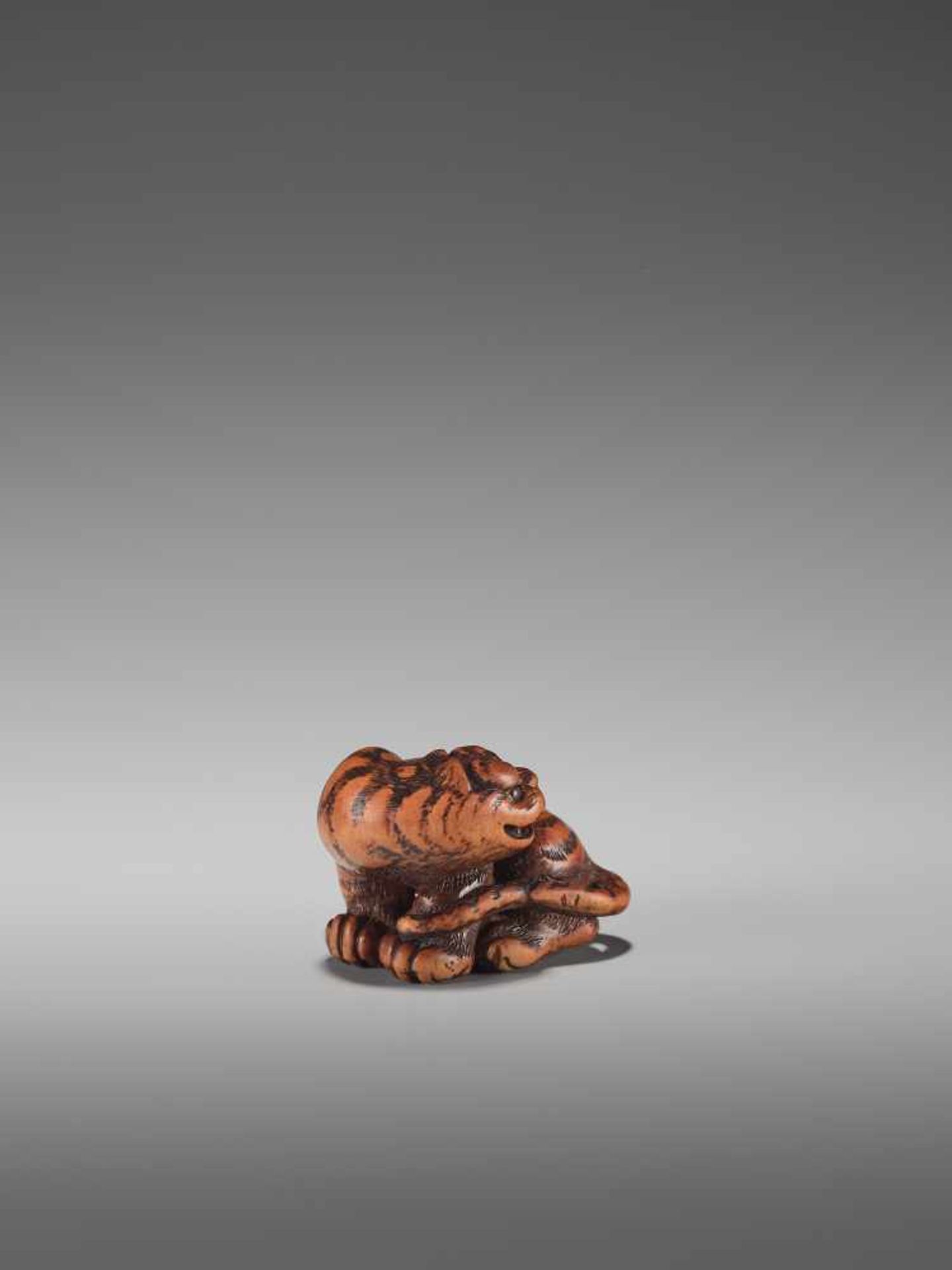 A FINE WOOD NETSUKE OF A TIGER BY TOMINBy Tomin, signed Minko, wood netsukeJapan, Tsu, Ise province, - Bild 6 aus 9