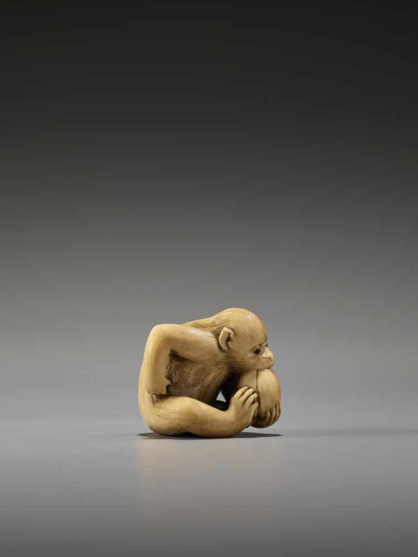 AN EXCELLENT IVORY NETSUKE OF A MONKEY EATING A PEACH BY RANTEIBy Rantei, ivory netsukeJapan, Kyoto, - Bild 6 aus 13