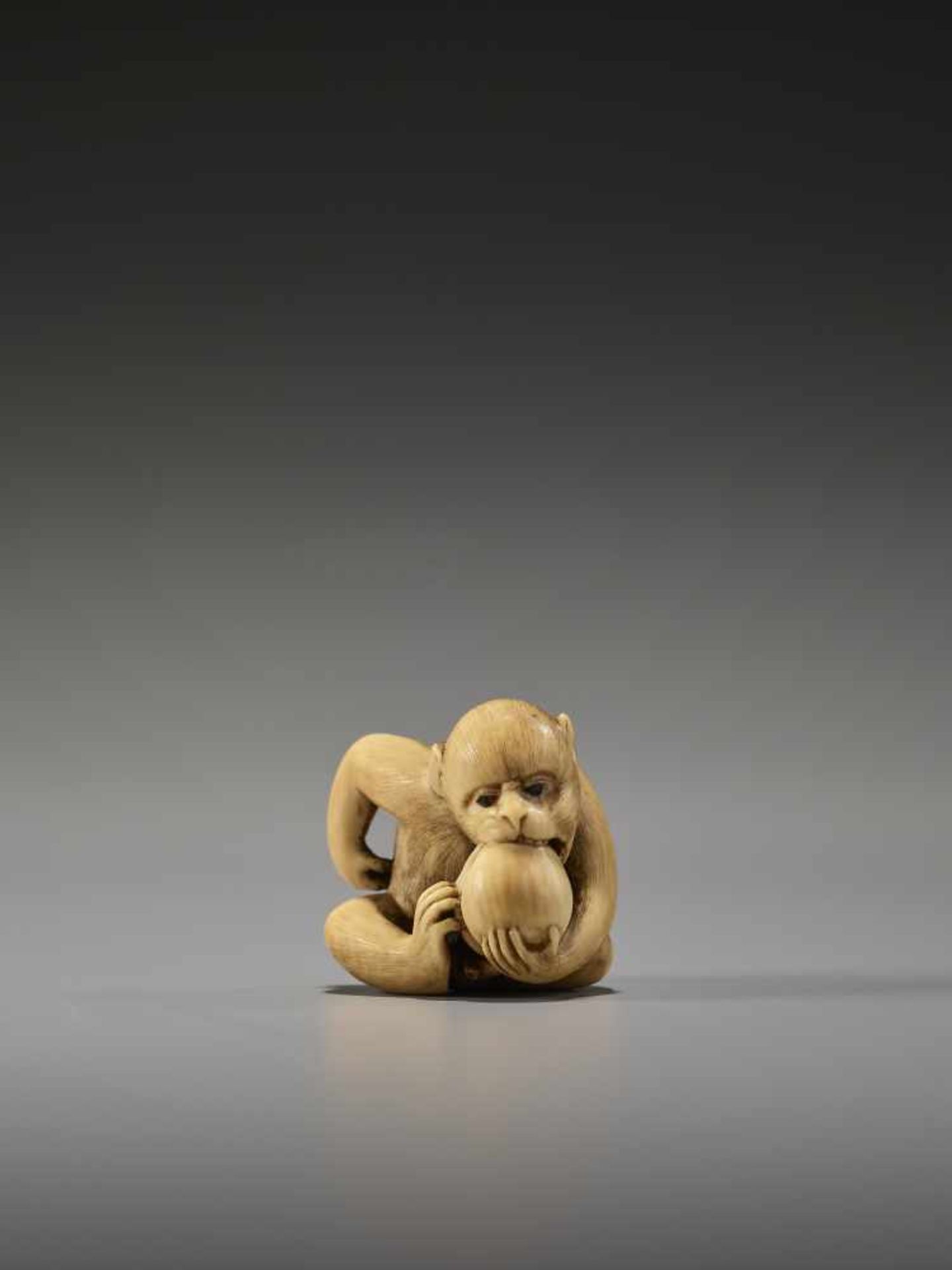 AN EXCELLENT IVORY NETSUKE OF A MONKEY EATING A PEACH BY RANTEIBy Rantei, ivory netsukeJapan, Kyoto, - Image 3 of 13