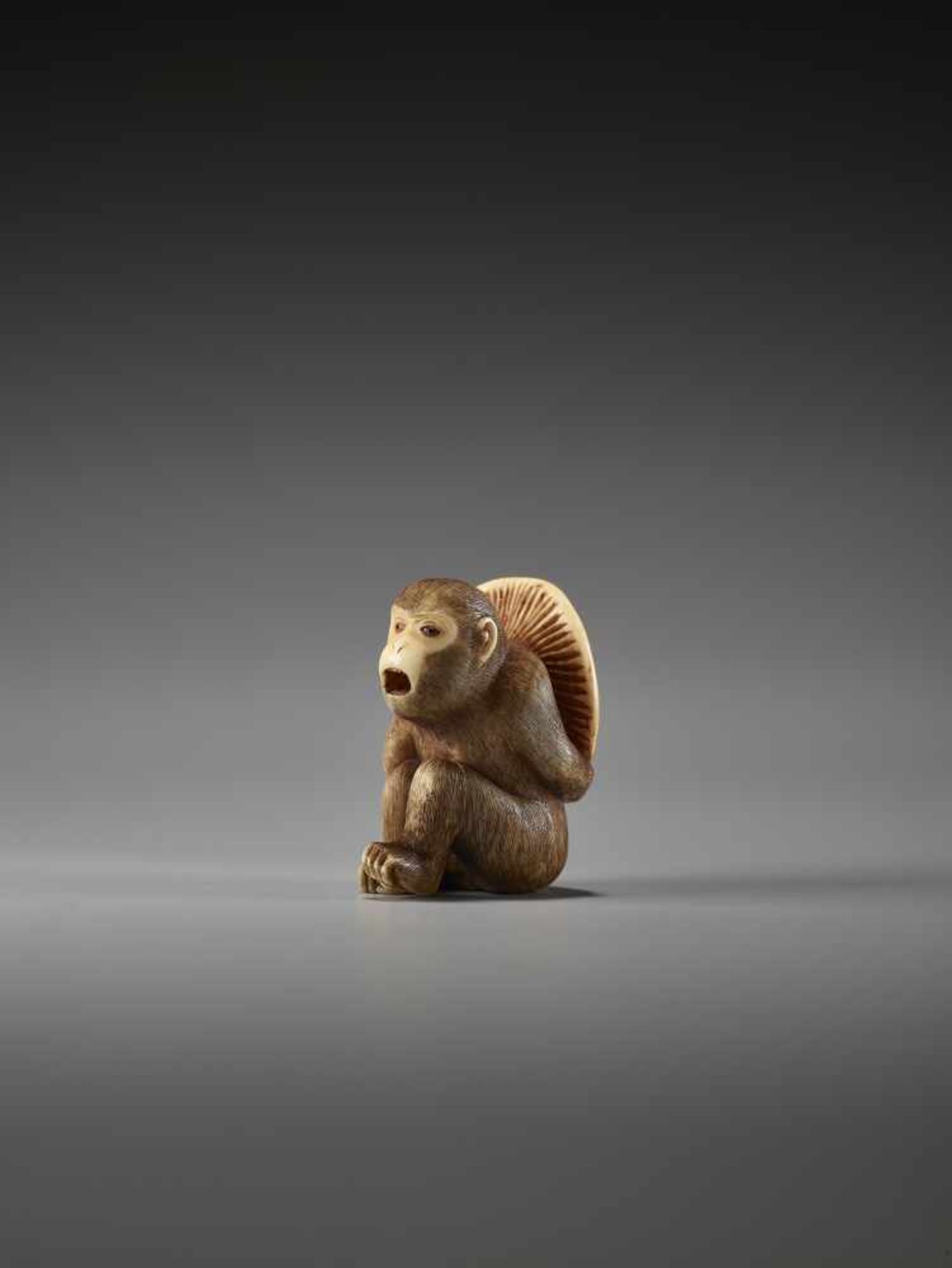 A FINE IVORY NETSUKE OF A MONKEY CARRYING A LARGE MUSHROOMUnsigned, ivory netsukeJapan, 19th - Bild 4 aus 7