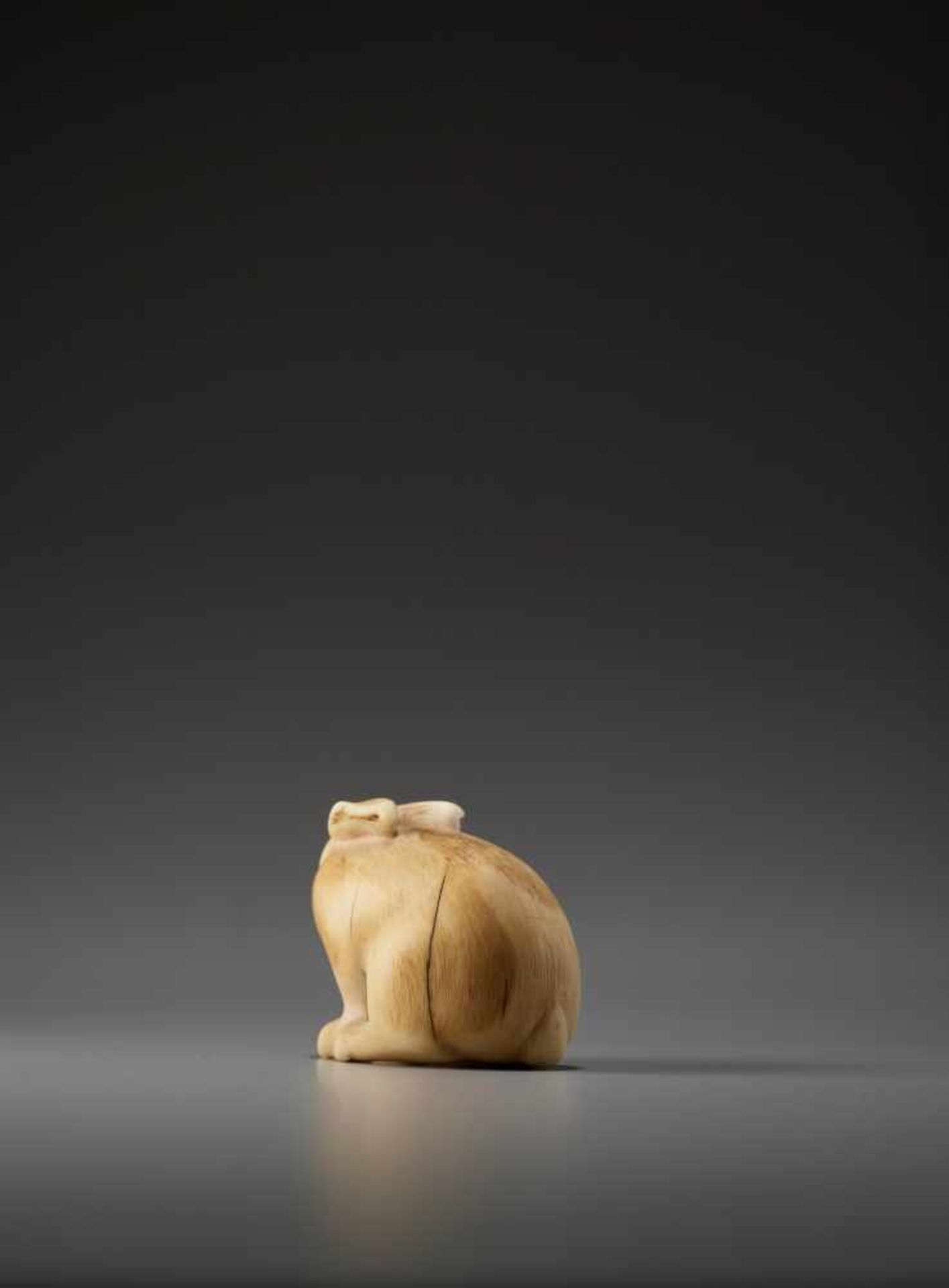 AN IVORY NETSUKE OF A PIEBALD RABBIT BY RANICHIBy Ranichi, ivory netsukeJapan, Kyoto, 19th - Image 3 of 9