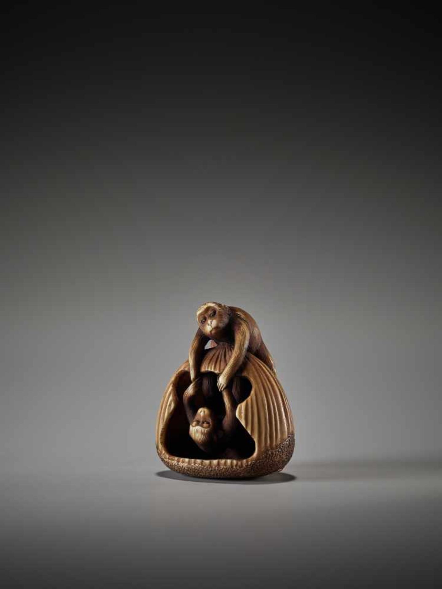 AN AMUSING IVORY NETSUKE OF TWO ACROBATIC MONKEYS IN A CHESTNUT BY TAMEKAZUBy Tamekazu, ivory - Bild 3 aus 7