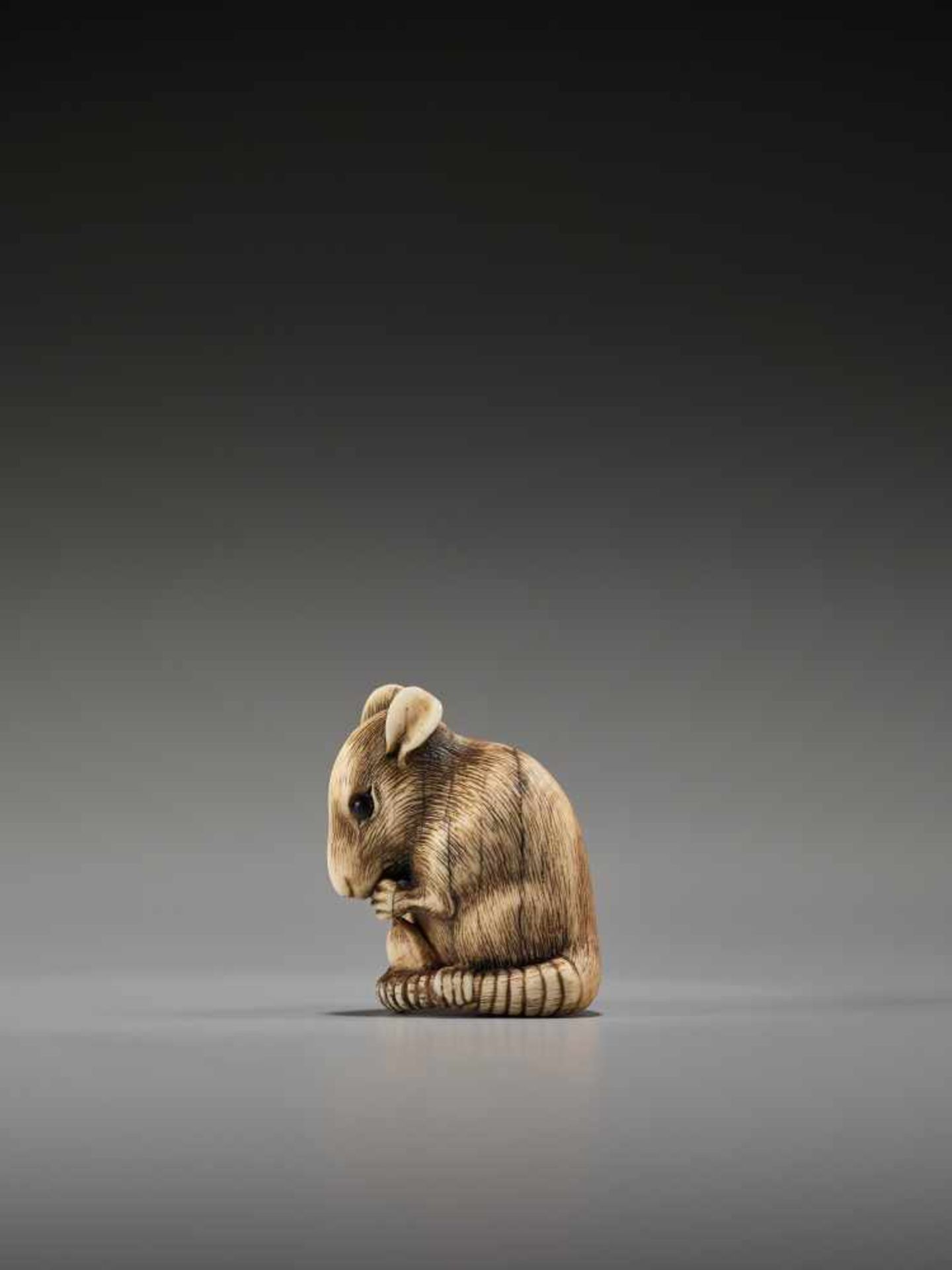 A POWERFUL KYOTO SCHOOL IVORY NETSUKE OF A RAT WITH A BEAN PODUnsigned, ivory netsukeJapan, Kyoto, - Bild 6 aus 12