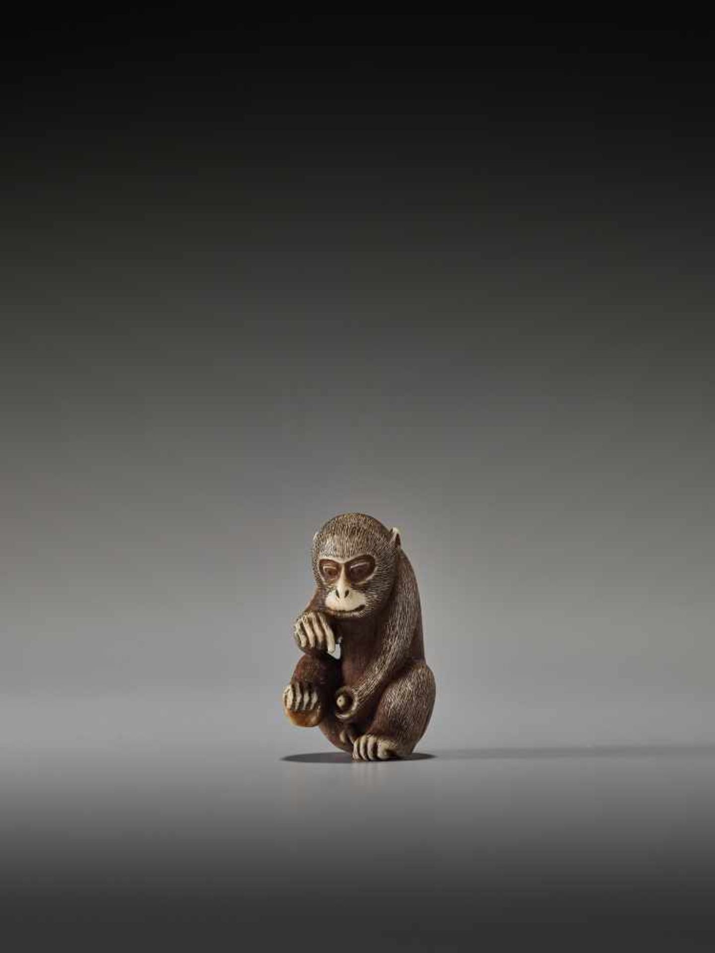 AN IVORY SHUNGA NETSUKE OF A MONKEYUnsigned, ivory shunga netsukeJapan, 20th centuryA very unusual