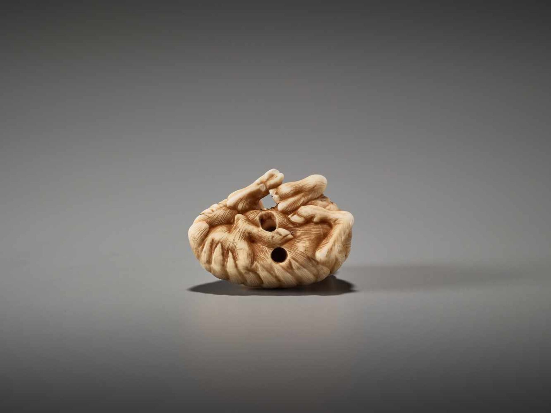 AN IVORY NETSUKE OF A RECUMBENT GOAT ATTRIBUTED TO RANMEIUnsigned, attributed to Ranmei, ivory - Bild 6 aus 7