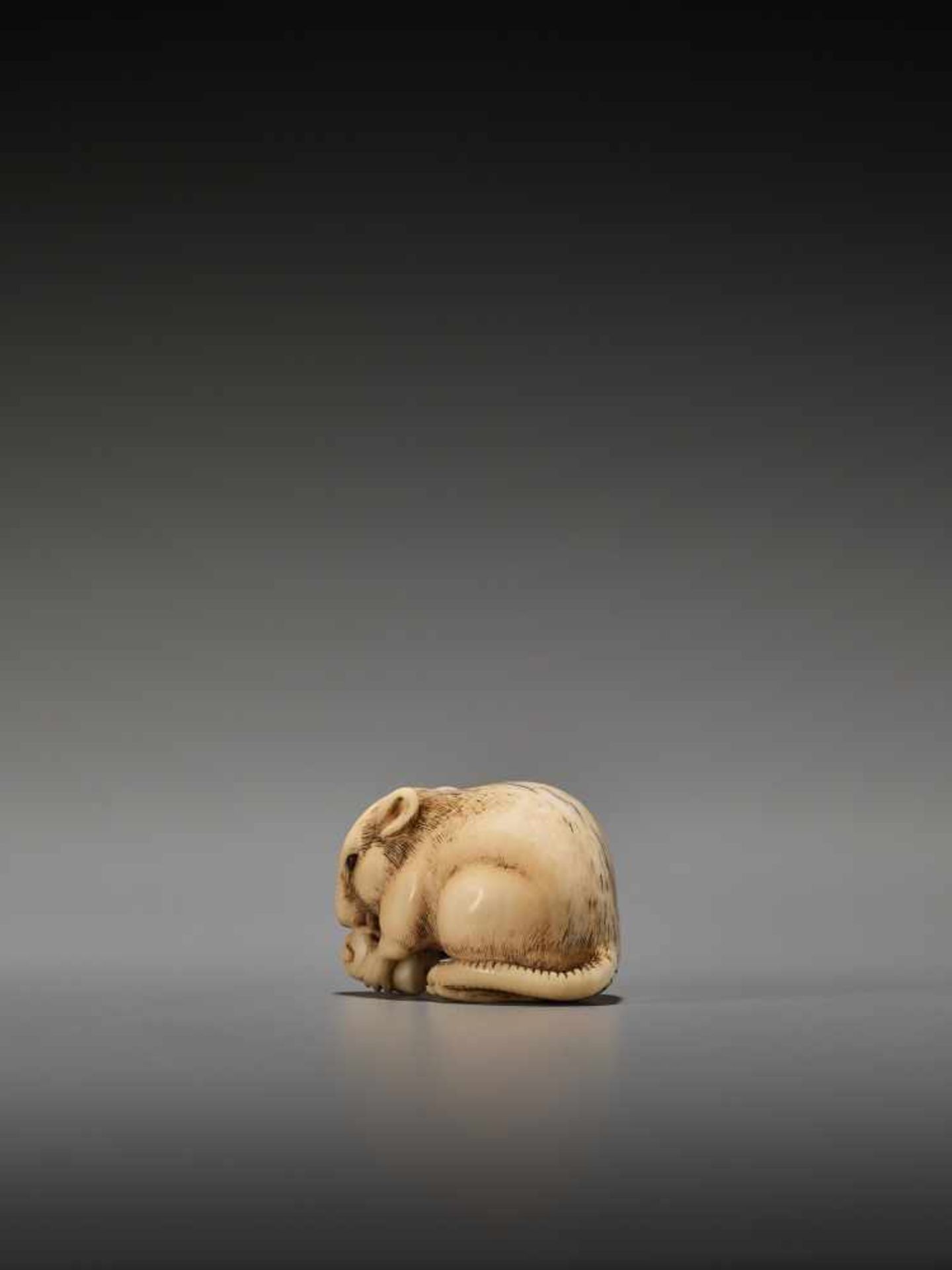 A FINE IVORY NETSUKE OF A RAT WITH CANDLE BY YAMAGUCHI OKATOMOBy Okatomo, ivory netsukeJapan, Kyoto, - Image 5 of 10